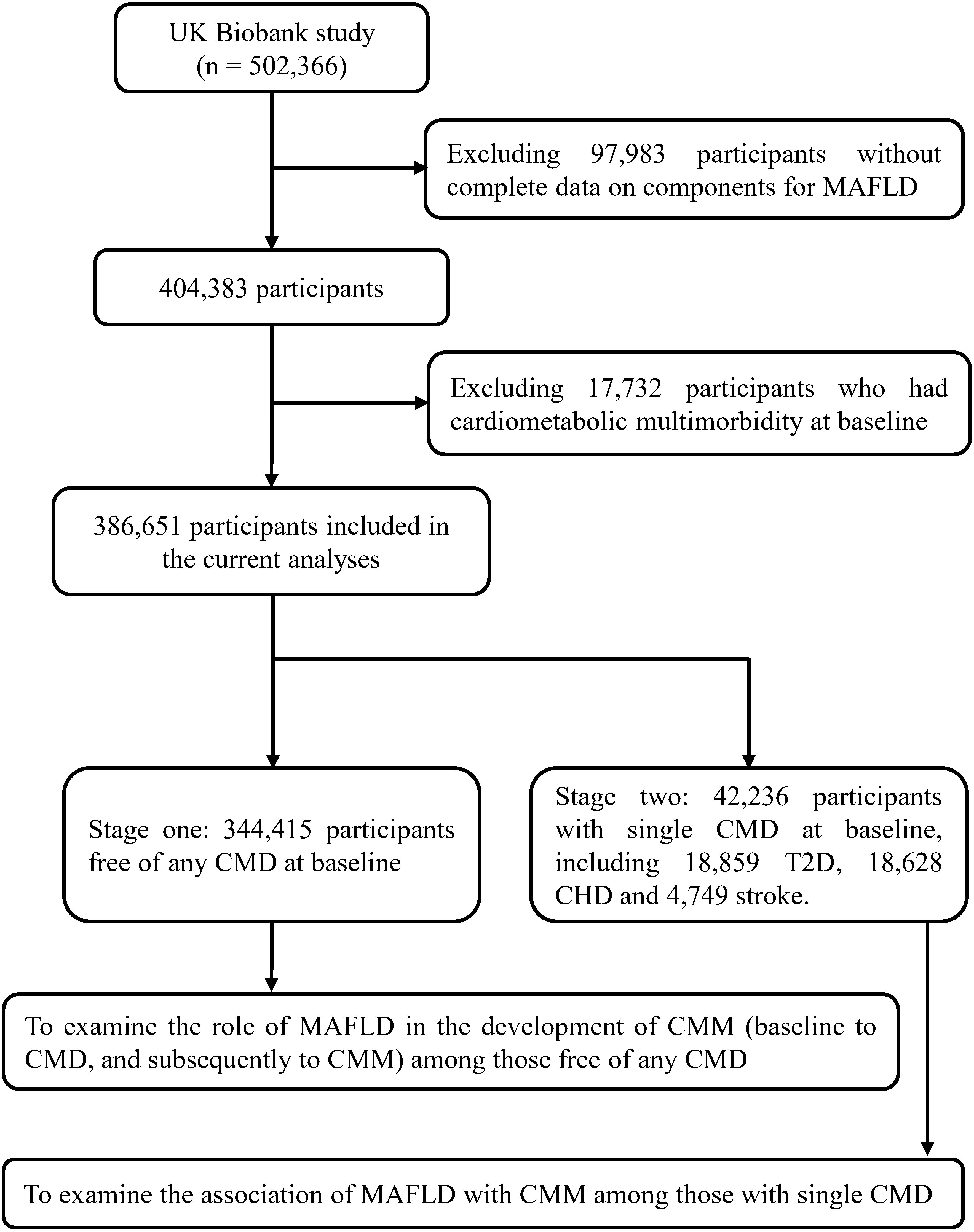 Flowchart detailing participant selection from the UK Biobank study. Starts with 502,366 participants, excludes 97,983 lacking MAFLD data, leaving 404,383. Further exclusion of 17,732 with baseline cardiometabolic multimorbidity results in 386,651 for analysis. Stage one: 344,415 participants with no CMD at baseline. Stage two: 42,236 with single CMD, including 18,859 with T2D, 18,628 with CHD, 4,749 with stroke. Aims to examine MAFLD's role in CMM development in those free of CMD and its association among those with a single CMD.
