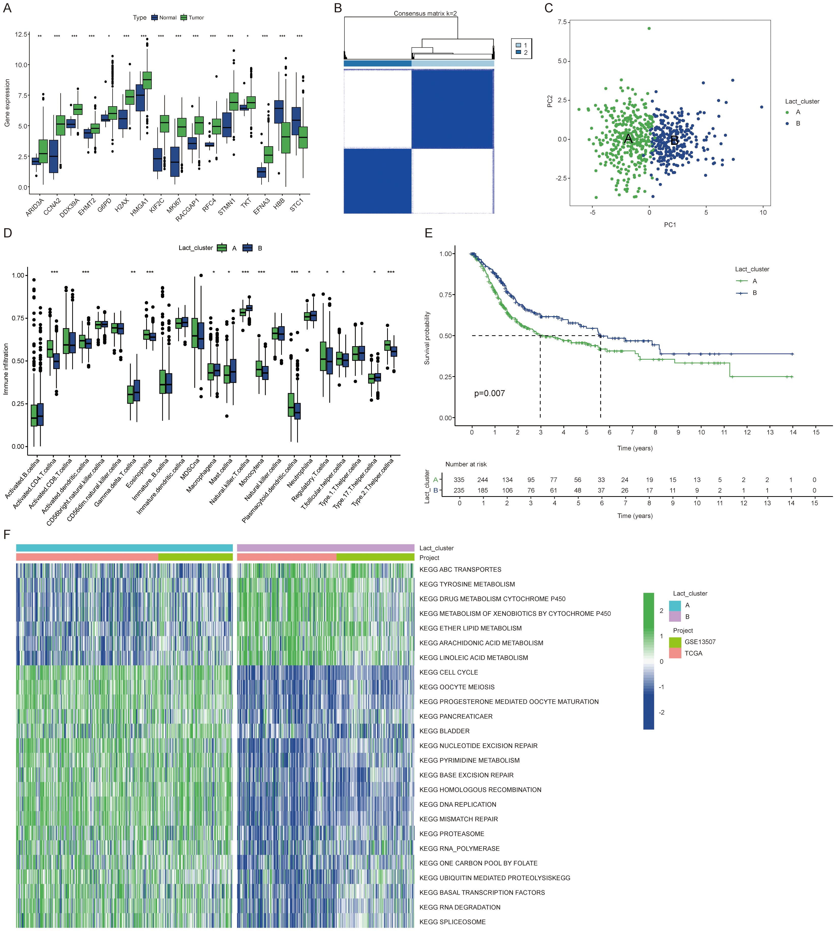 Panel A displays box plots comparing gene expression levels between normal and tumor samples. Panel B shows a consensus matrix heatmap for k=2 clustering. Panel C is a scatter plot showing PCA with two clusters labeled A and B. Panel D presents box plots of immune cell infiltrations for clusters A and B. Panel E is a Kaplan-Meier survival curve demonstrating differences in survival between the two clusters, with a p-value of 0.007. Panel F is a heatmap of KEGG pathways, with rows as pathways and columns as samples colored by cluster assignment.