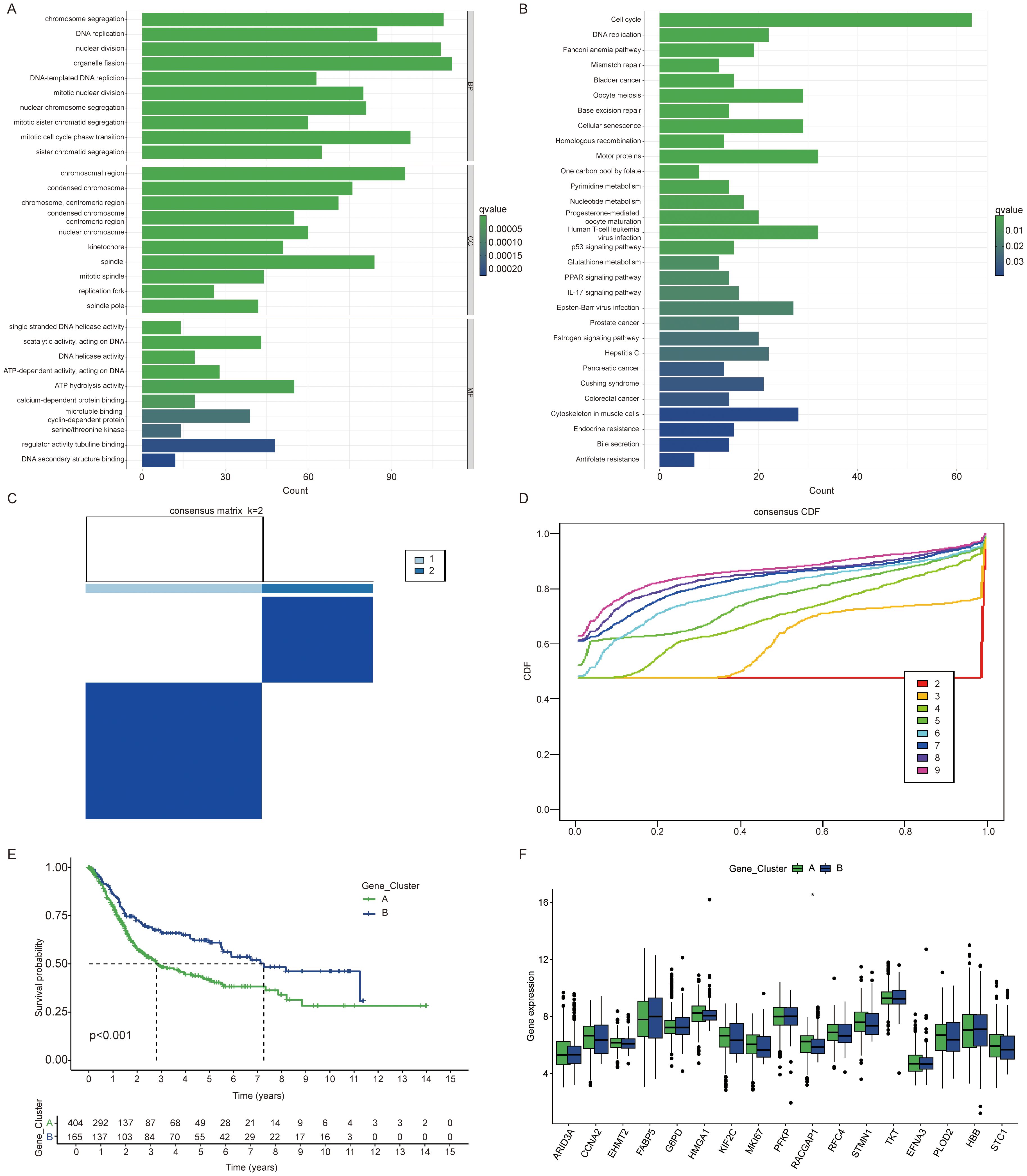 Group of six panels showing various data visualizations: A) Bar chart of chromosomal and molecular processes with counts and associated significance values. B) Bar chart of biological pathways and diseases with counts and significance values. C) Heatmap showing consensus matrix for k=2 clusters. D) Line chart depicting consensus cumulative distribution function (CDF) for different cluster numbers. E) Kaplan-Meier survival curves comparing two gene clusters with a significant p-value. F) Box plots showing gene expression levels for multiple genes across two clusters.