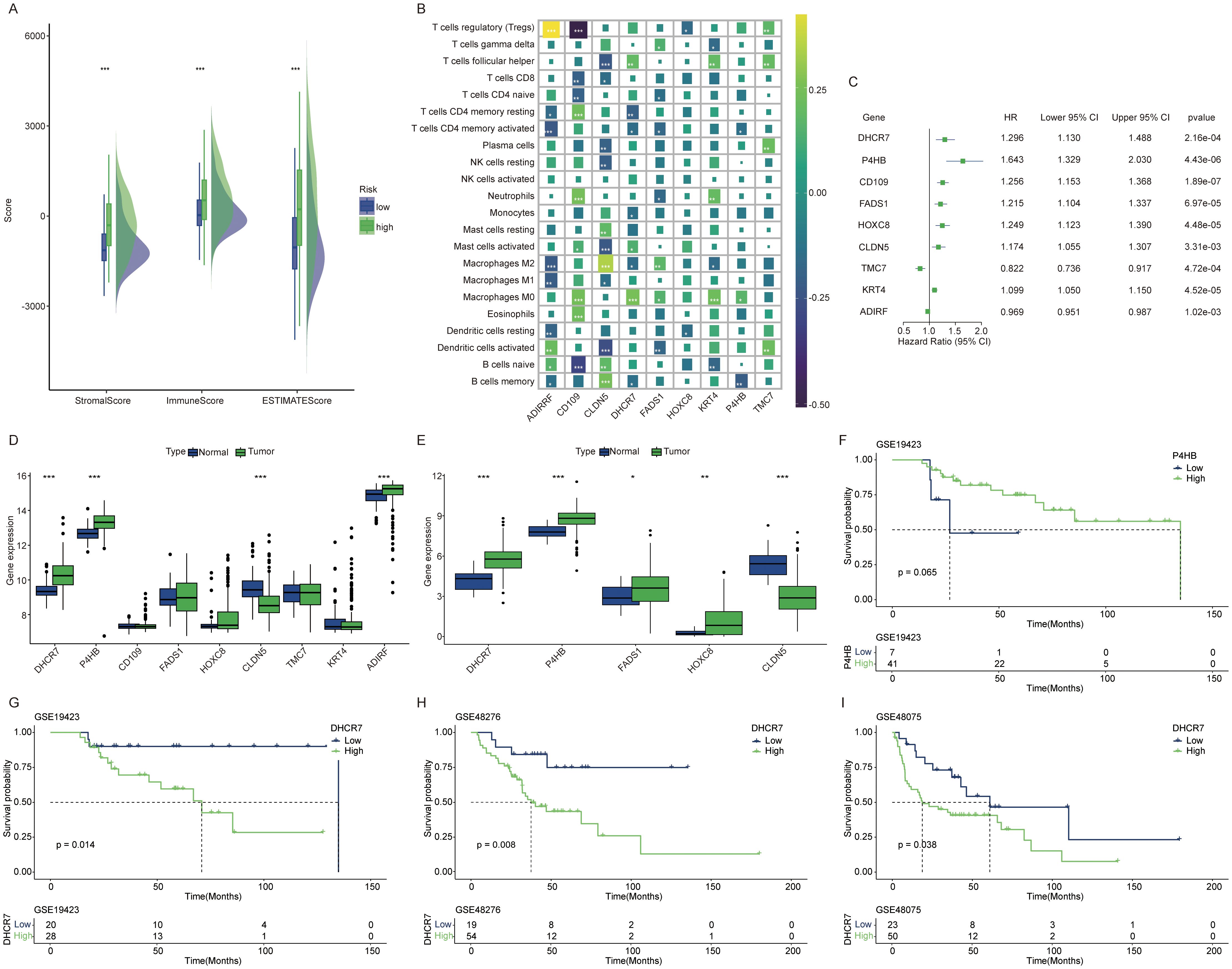 Multiple panels display a variety of data visualizations related to gene expression and survival analysis. Panel A shows violin plots comparing StromalScore, ImmuneScore, and ESTIMATEScore with different risk levels. Panel B is a heatmap correlating immune cell types with gene expressions. Panel C presents a forest plot of genes with their hazard ratios, confidence intervals, and p-values. Panels D and E are box plots showing gene expression levels in normal and tumor samples. Panels F, G, H, and I contain Kaplan-Meier plots showing survival probabilities associated with various genes and risk categories.