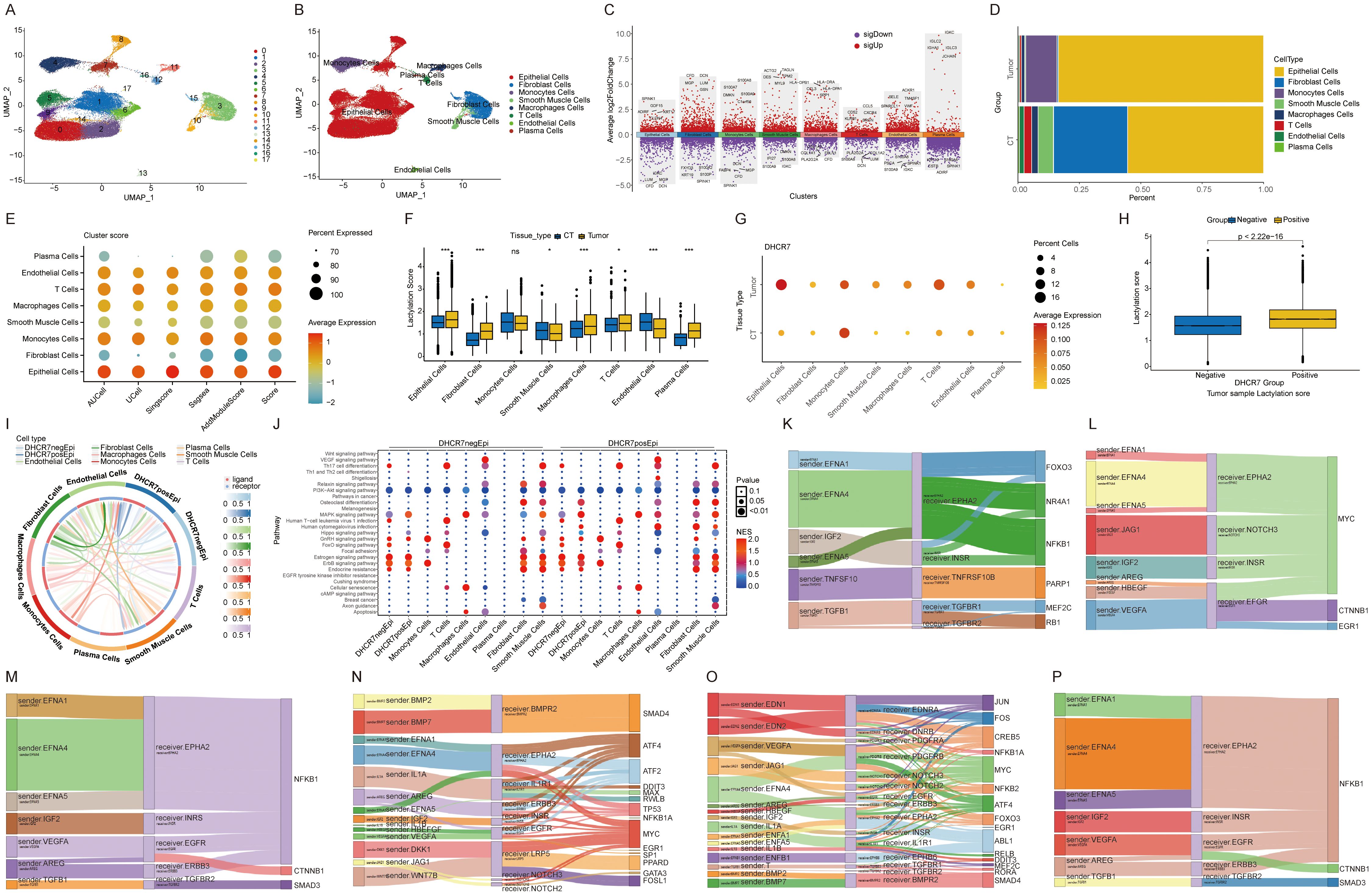 Scientific data visualization panel showing various graphs and charts related to cell types and gene expression. The panel includes UMAP plots for cell clusters, a bar chart for cell type proportions, bubble plots depicting expression levels, a box plot comparing lethality scores, and several flowcharts representing signaling pathways and interactions between various genes and cell types. Each element highlights different aspects of cellular and molecular data, with color codes and annotations for clarity.