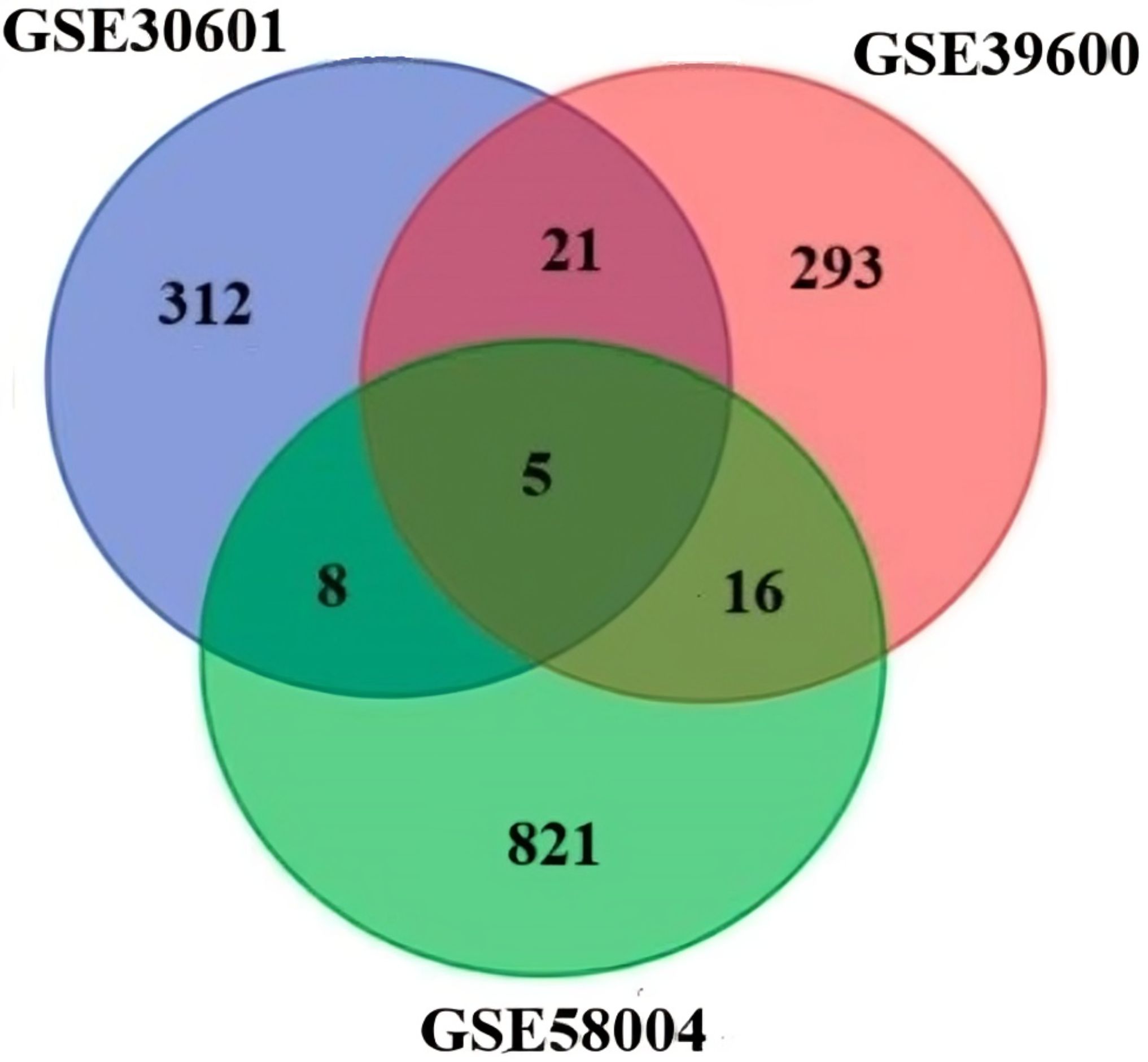 Venn diagram with three overlapping circles labeled GSE30601, GSE39600, and GSE58004. The blue circle represents 312 unique items, the red circle 293, and the green circle 821. Overlapping sections show shared numbers: 21, 8, and 16 in pairs, and 5 in the center shared among all.