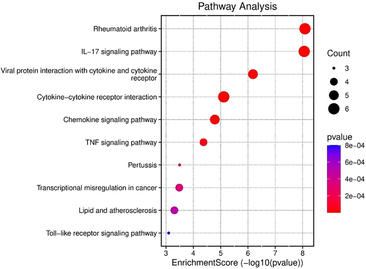 Pathway analysis bubble chart showing various pathways on the y-axis, such as Rheumatoid arthritis and IL-17 signaling pathway. The x-axis represents the Enrichment Score (negative log10 of p-value). Bubble size indicates count and color gradient indicates p-value, with significant pathways having larger and darker bubbles. Pathways like Rheumatoid arthritis are prominently marked.