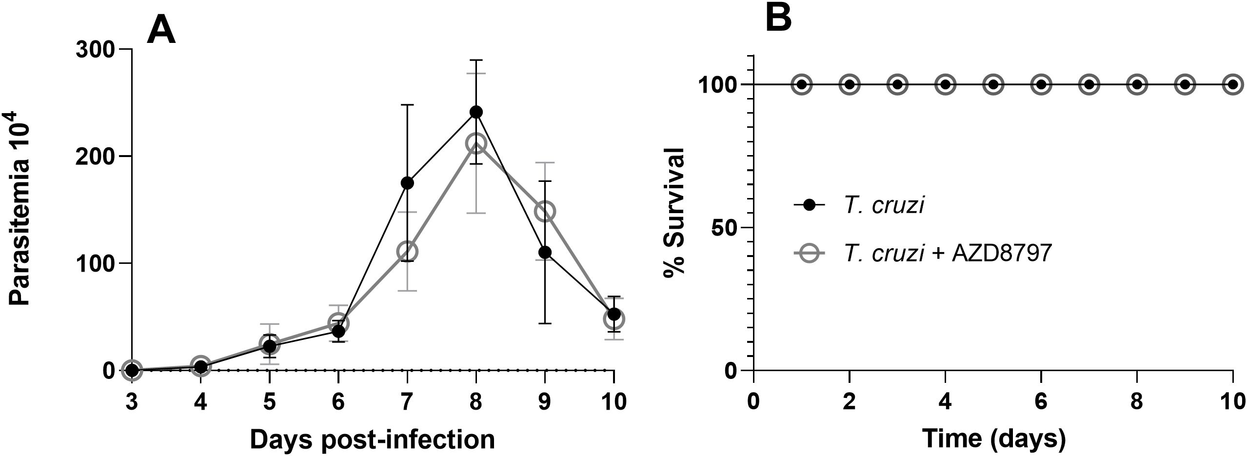 Two graphs with labeled axes. Graph A shows parasitemia levels over days post-infection with two lines: one for T. cruzi and another for T. cruzi with AZD8797. Graph B shows a survival percentage over time with two overlapping lines for T. cruzi and T. cruzi with AZD8797, both maintaining 100% survival throughout.