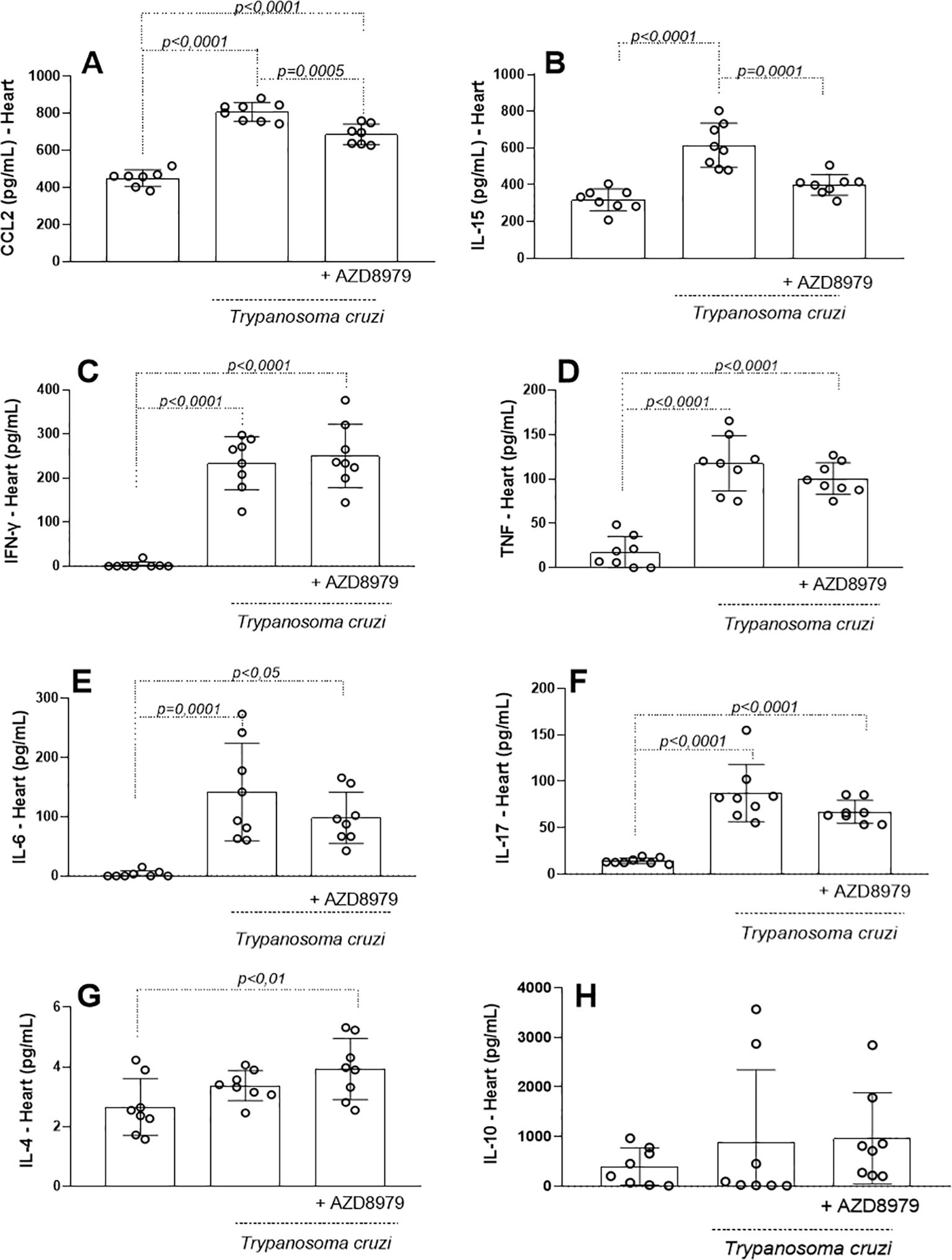 Bar graphs labeled A to H depict cytokine levels in the heart, comparing Trypanosoma cruzi with and without AZD8979. Panels show significant differences with p-values for CCL2, IL-15, IFNγ, TNF, IL-6, IL-17, IL-4, and IL-10. Each bar includes individual data points and error bars.