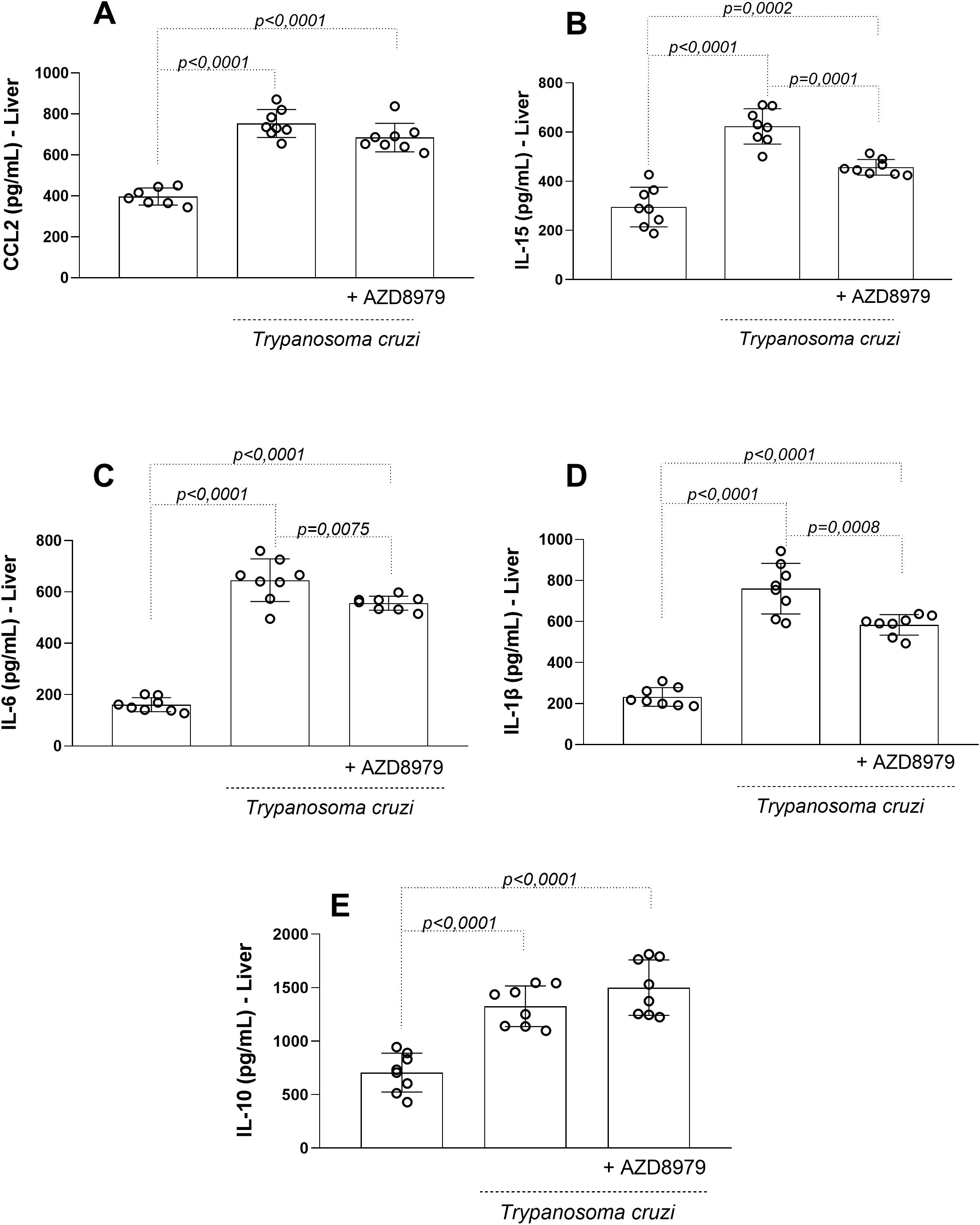 Bar graphs labeled A to E show liver cytokine levels measured in picograms per milliliter in mice infected with Trypanosoma cruzi, with and without AZD8979 treatment. Graph A shows CCL2 levels; B shows IL-15; C shows IL-6; D shows IL-1β; E shows IL-10. Each graph indicates a significant reduction in cytokine levels when treated with AZD8979, with p-values specified above each comparison, all showing statistical significance.