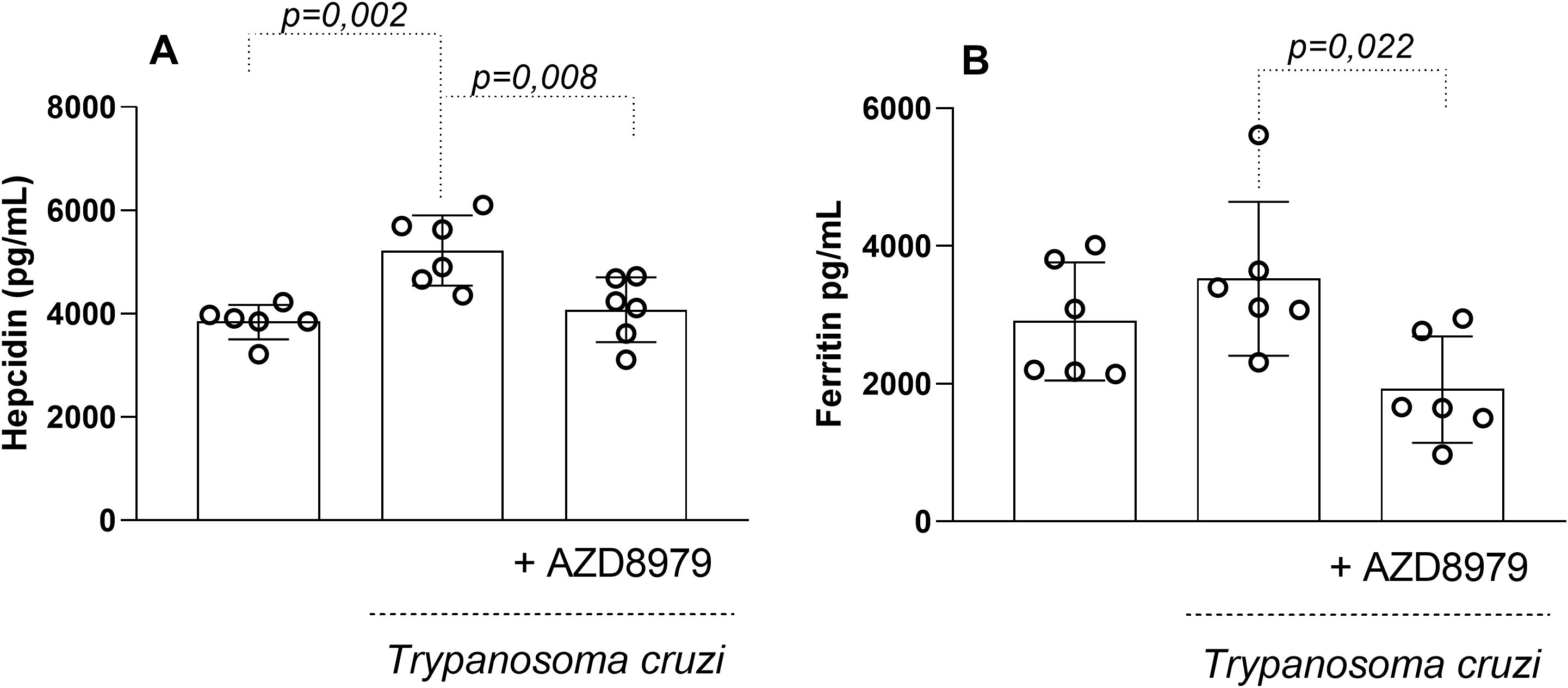 Bar charts compare hepcidin and ferritin levels in pg/mL in response to Trypanosoma cruzi with and without AZD8979 treatment. Chart A shows hepcidin levels, with significant differences at p=0.002 and p=0.008. Chart B shows ferritin levels with a significant difference at p=0.022. Error bars represent variability.