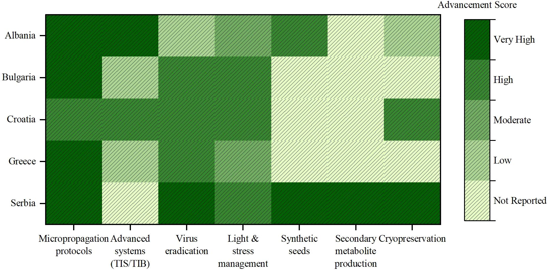 Heatmap illustrating the advancement scores of various countries in agricultural research areas: micropropagation protocols, advanced systems (TIS/TIB), virus eradication, light and stress management, synthetic seeds, and secondary metabolite production. Darker shades indicate higher advancement levels. Countries included are Albania, Bulgaria, Croatia, Greece, and Serbia, with scores ranging from very high to not reported.