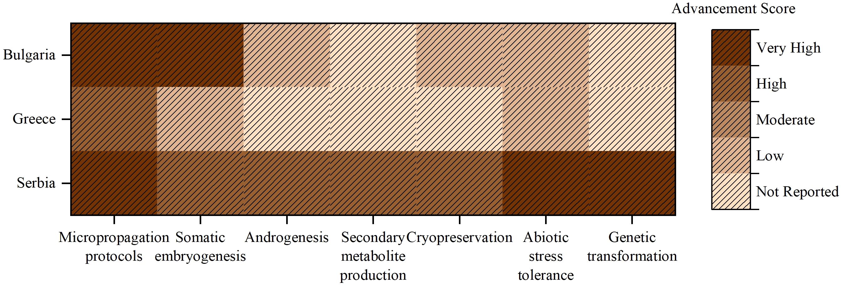 Chart depicting advancement scores in various biotechnological processes across Bulgaria, Greece, and Serbia. Categories include micropropagation protocols, somatic embryogenesis, androgenesis, secondary metabolite production, cryopreservation, abiotic stress tolerance, and genetic transformation. Scores range from very high to not reported, visualized with shaded color bands.