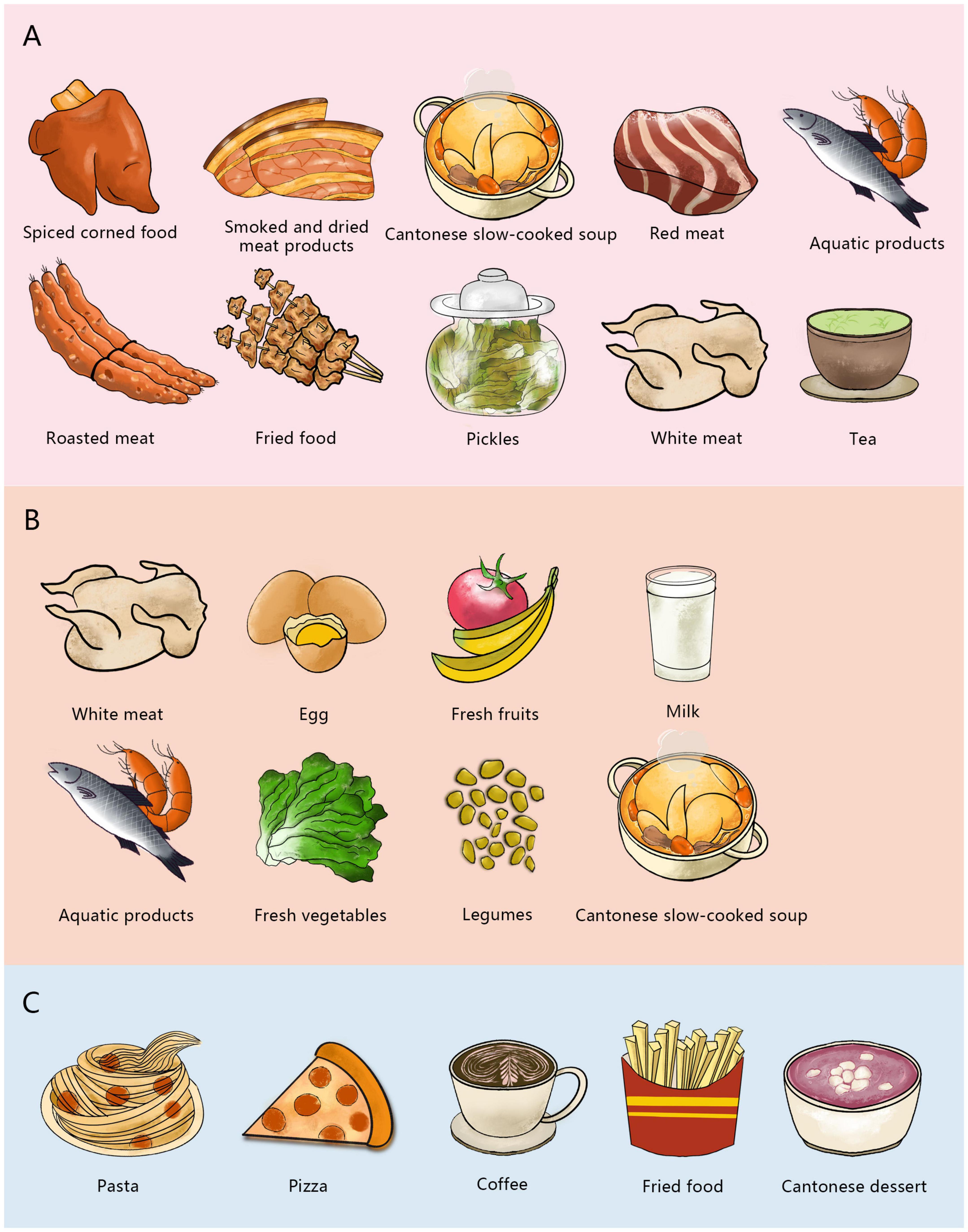 Illustration of foods categorized into three groups. Panel A includes spiced corned food, smoked and dried meat, Cantonese slow-cooked soup, red meat, aquatic products, roasted meat, fried food, pickles, white meat, and tea. Panel B shows white meat, egg, fresh fruits, milk, aquatic products, fresh vegetables, legumes, and Cantonese slow-cooked soup. Panel C features pasta, pizza, coffee, fried food, and Cantonese dessert.