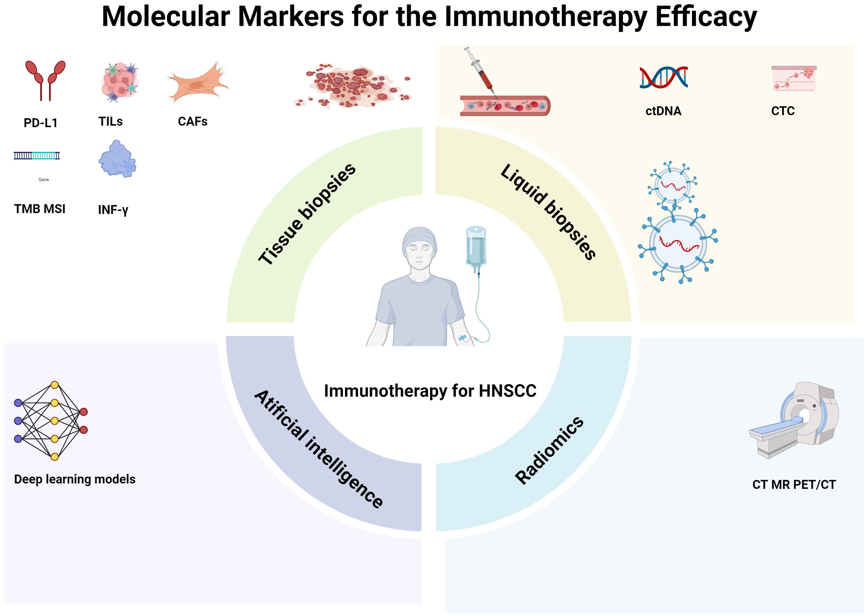 Diagram titled “Molecular Markers for the Immunotherapy Efficacy” showing a central figure receiving immunotherapy for HNSCC. Surrounding sections include tissue biopsies (PD-L1, TILs, CAFs, TMB MSI, INF-γ), liquid biopsies (ctDNA, CTC), artificial intelligence (deep learning models), and radiomics (CT, MR, PET/CT).