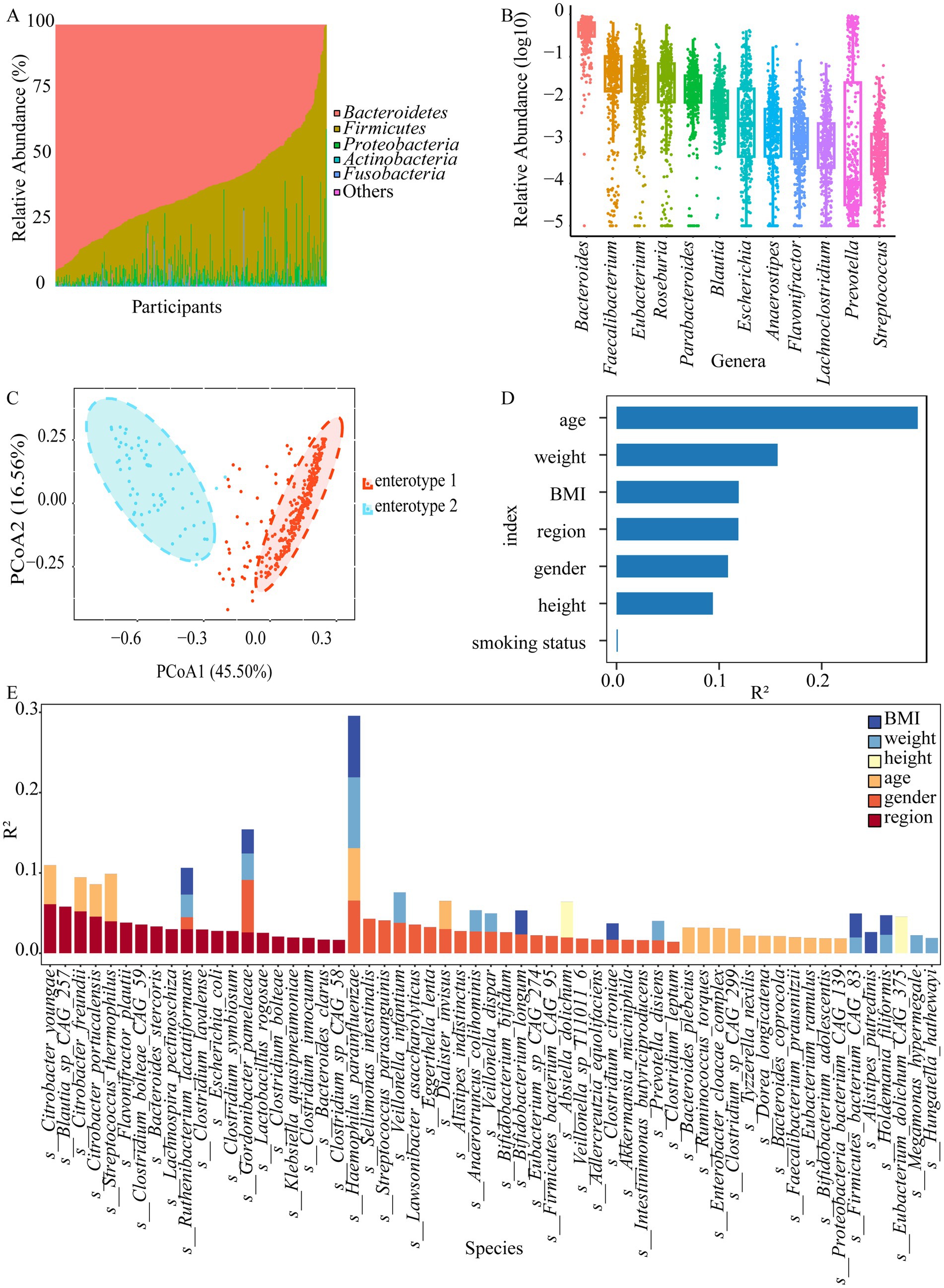 The image contains five panels displaying various data visualizations related to microbial analysis. Panel A shows a stacked area chart of relative abundance percentages of different bacterial phyla across participants. Panel B presents a dot plot showing the relative abundance (log scale) of various genera. Panel C is a principal coordinate analysis (PCoA) plot differentiating two enterotypes by color. Panel D includes a horizontal bar chart of R-squared values for variables like age and BMI. Panel E features a stacked bar chart of R-squared values for different species, with bars divided by BMI, weight, height, and other factors.