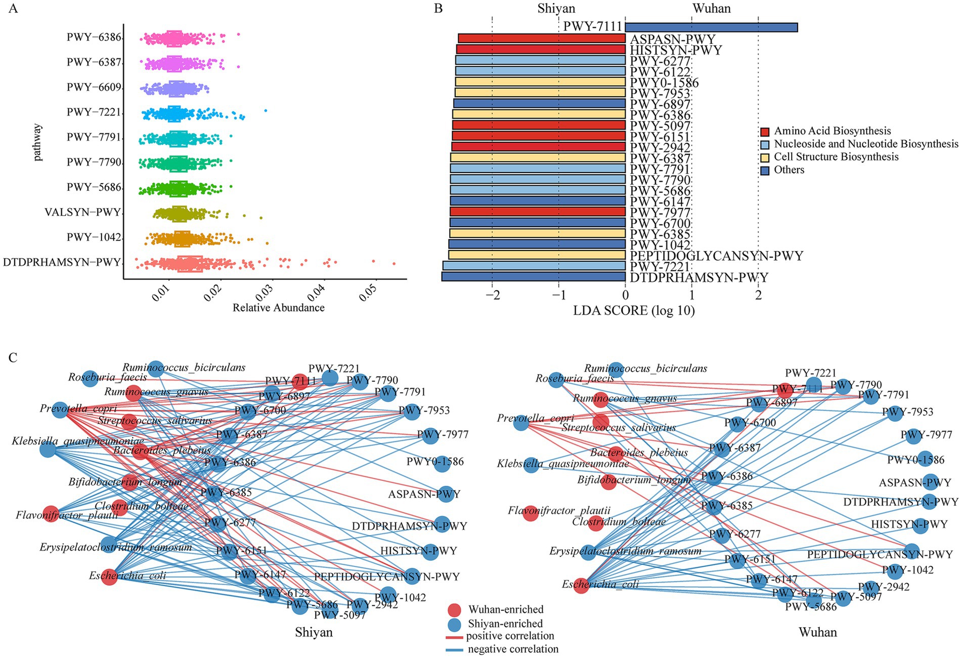 Panel A shows a dot plot of pathways with various relative abundances differentiated by color. Panel B displays a horizontal bar chart of LDA scores comparing Shiyan and Wuhan, color-coded by biosynthesis type. Panel C features two network diagrams illustrating pathway correlations for Shiyan and Wuhan, with nodes indicating enriched pathways and correlation types.
