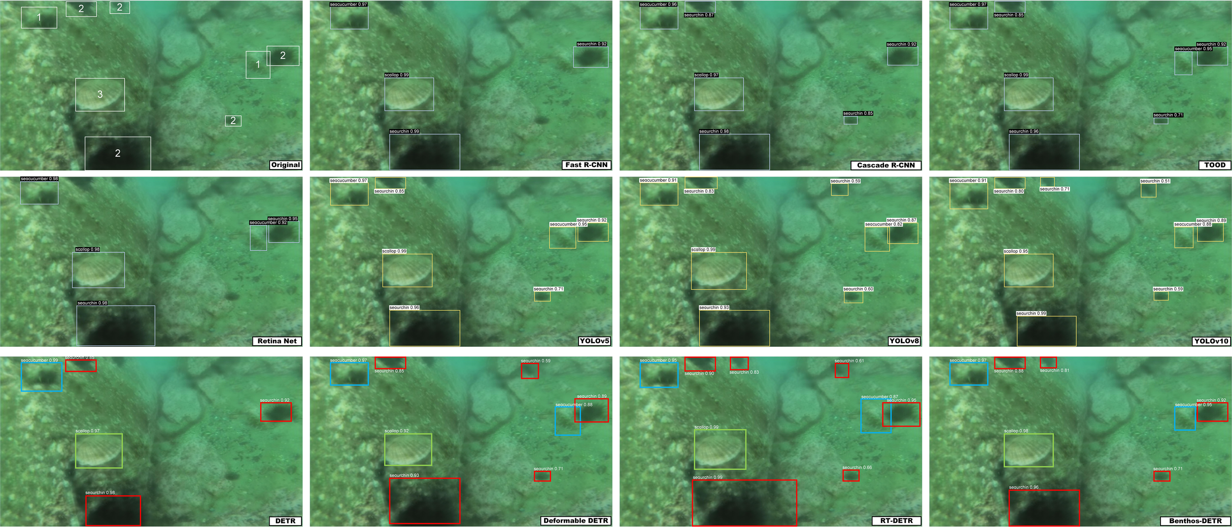 Underwater images depicting object detection using various models: Original, Fast R-CNN, Cascade R-CNN, TOOD, Retina Net, YOLOv5, YOLOv8, YOLOv10, DETR, Deformable DETR, RT-DETR, and Benthos-DETR. Each model highlights sea creatures like sea cucumbers and sea urchins with bounding boxes labeled with confidence scores. The models show variations in object detection accuracy and area coverage.