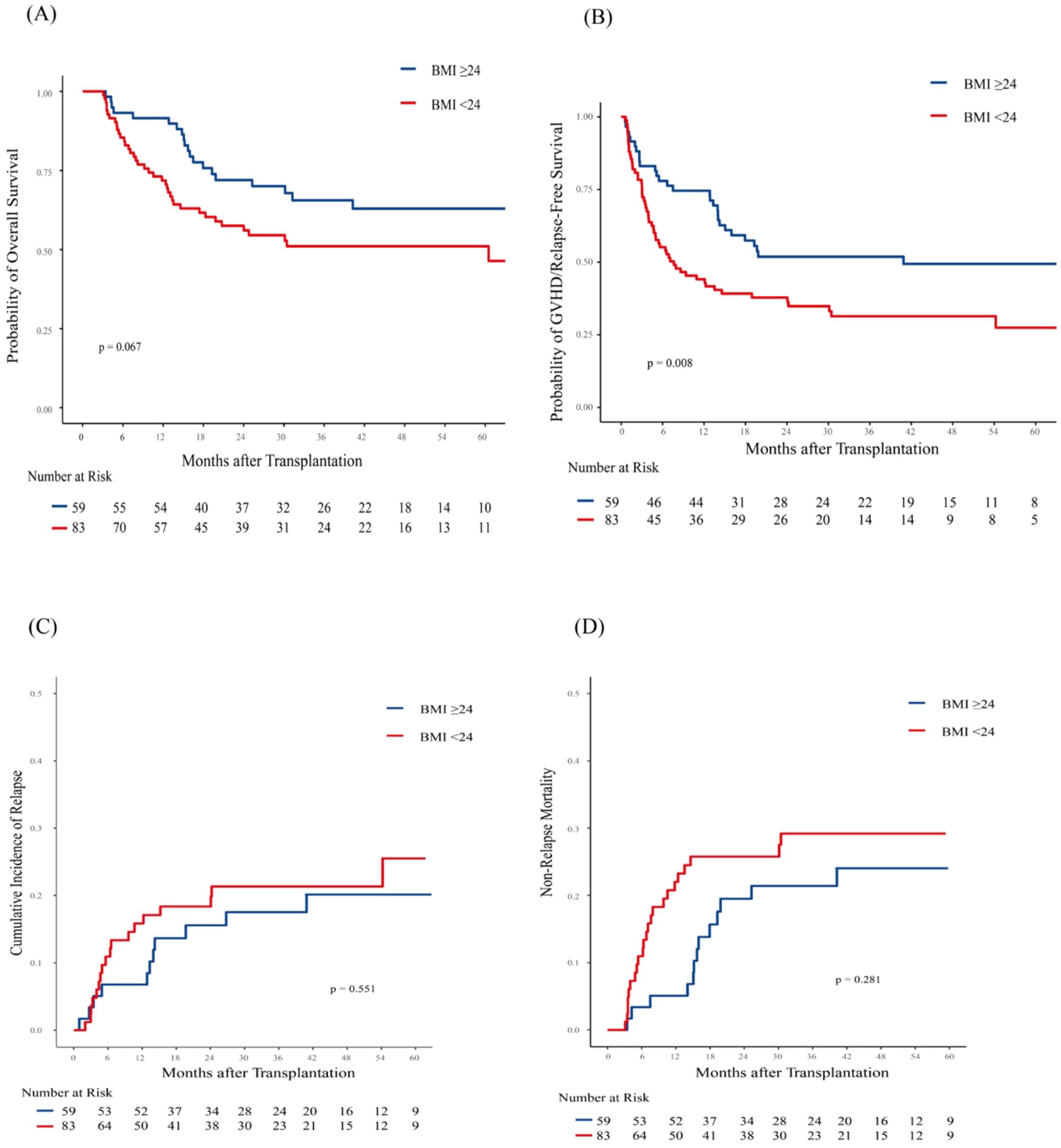 Four Kaplan-Meier plots depicting post-transplantation outcomes based on BMI. (A) Shows overall survival probability over time, with blue line for BMI ≥24 and red for BMI <24, p = 0.067. (B) Displays GVHD/relapse-free survival probability, p = 0.008. (C) Illustrates cumulative incidence of relapse, p = 0.551. (D) Represents non-relapse mortality, p = 0.281. Each chart includes a number at risk table.