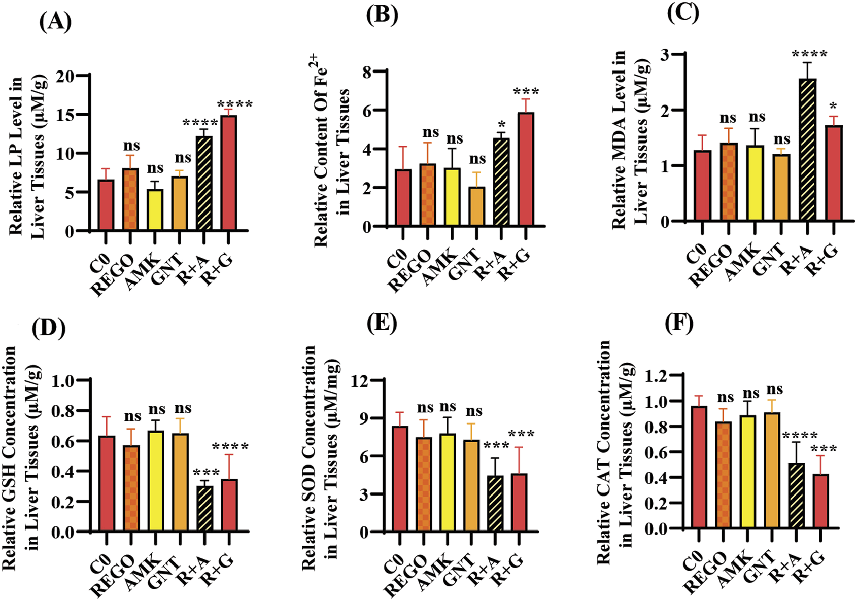 Bar charts labeled A to F show various metrics in liver tissues. Chart A shows relative LP levels, with the highest in R+A and R+G. Chart B shows Fe²⁺ content, highest in R+G. Chart C shows MDA levels, also highest in R+A and R+G. Chart D shows GSH concentration, lowest in R+A and R+G. Chart E shows SOD concentration, lowest in R+A and R+G. Chart F shows CAT concentration, with R+G lowest. Significance is noted with asterisks.