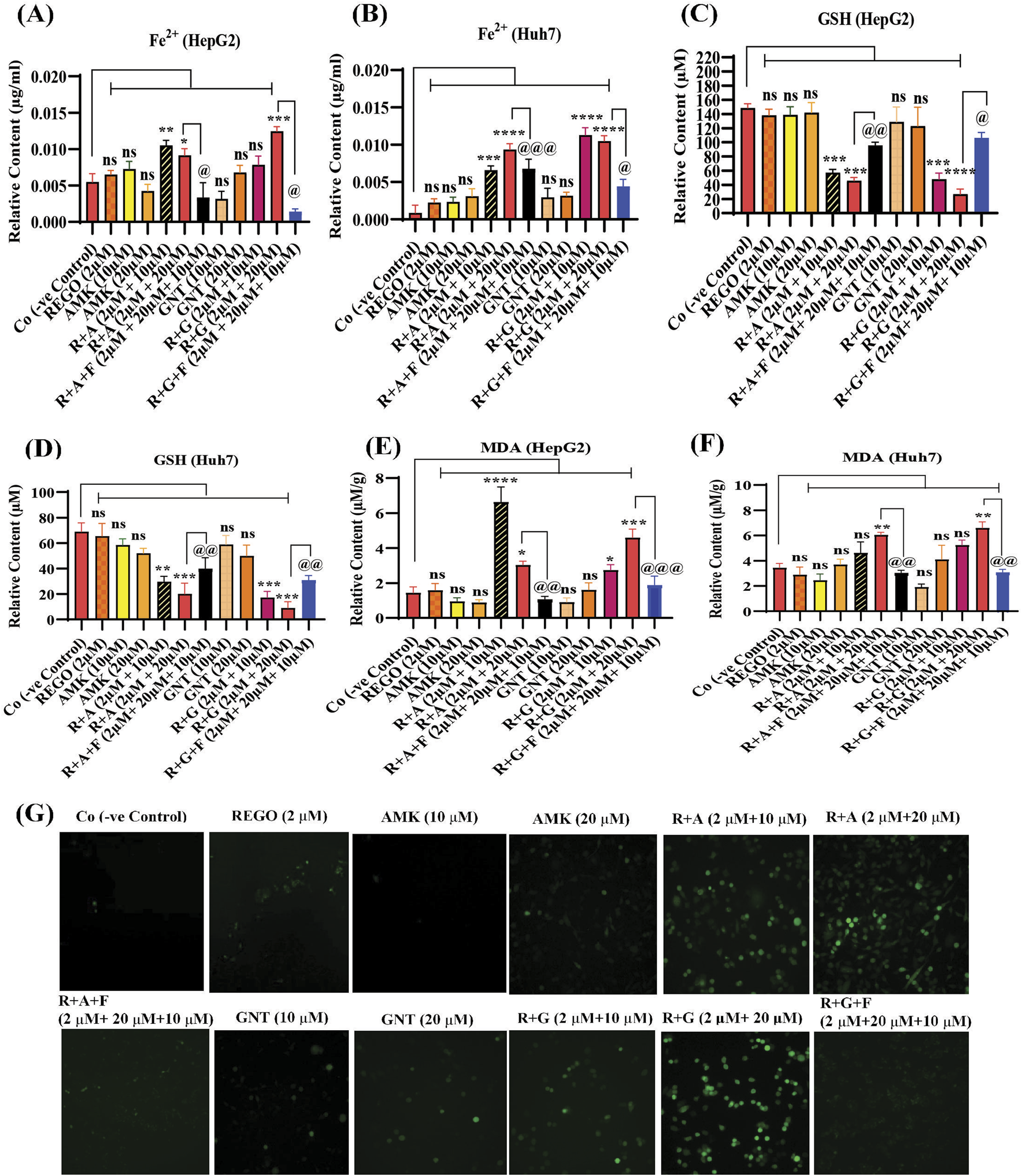 Charts and microscopy images depict experimental results on HepG2 and Huh7 cells. Graphs A-F show relative contents of Fe²⁺, GSH, and MDA under various treatments. Graphs (A) and (B) detail Fe²⁺ levels, (C) and (D) show GSH levels, and (E) and (F) present MDA levels. Microscopy images (G) display fluorescence under different treatment conditions, illustrating the cellular response visually. Each part indicates differing levels of component concentration and cellular changes.