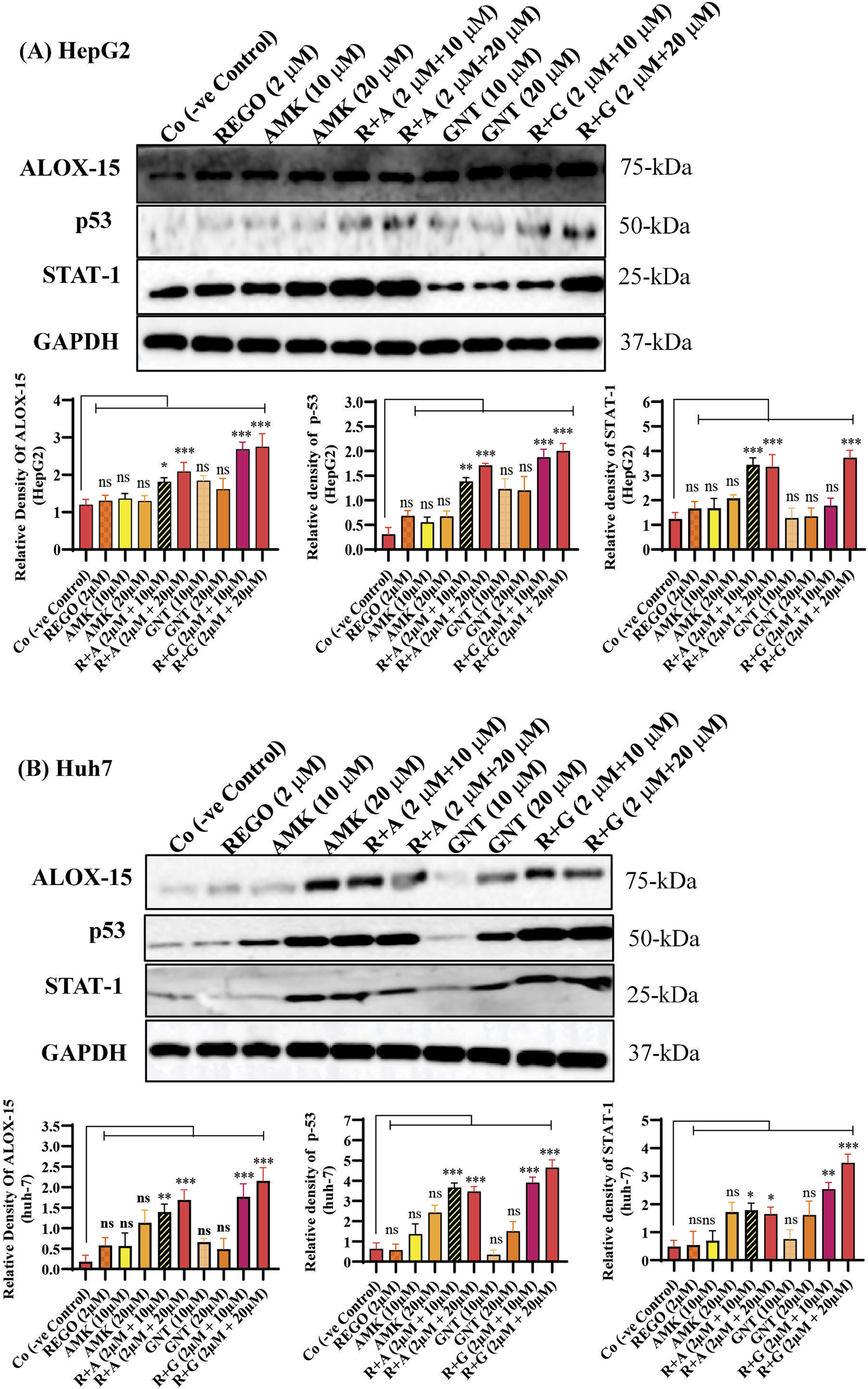 Western blot and bar charts compare protein expression in HepG2 and Huh7 cells. Proteins analyzed are ALOX-15, p53, STAT-1, and GAPDH under various treatments. Bar charts show relative densities with statistical significance indicated (ns, *, **, ***). Protein sizes range from 25 to 75 kDa.