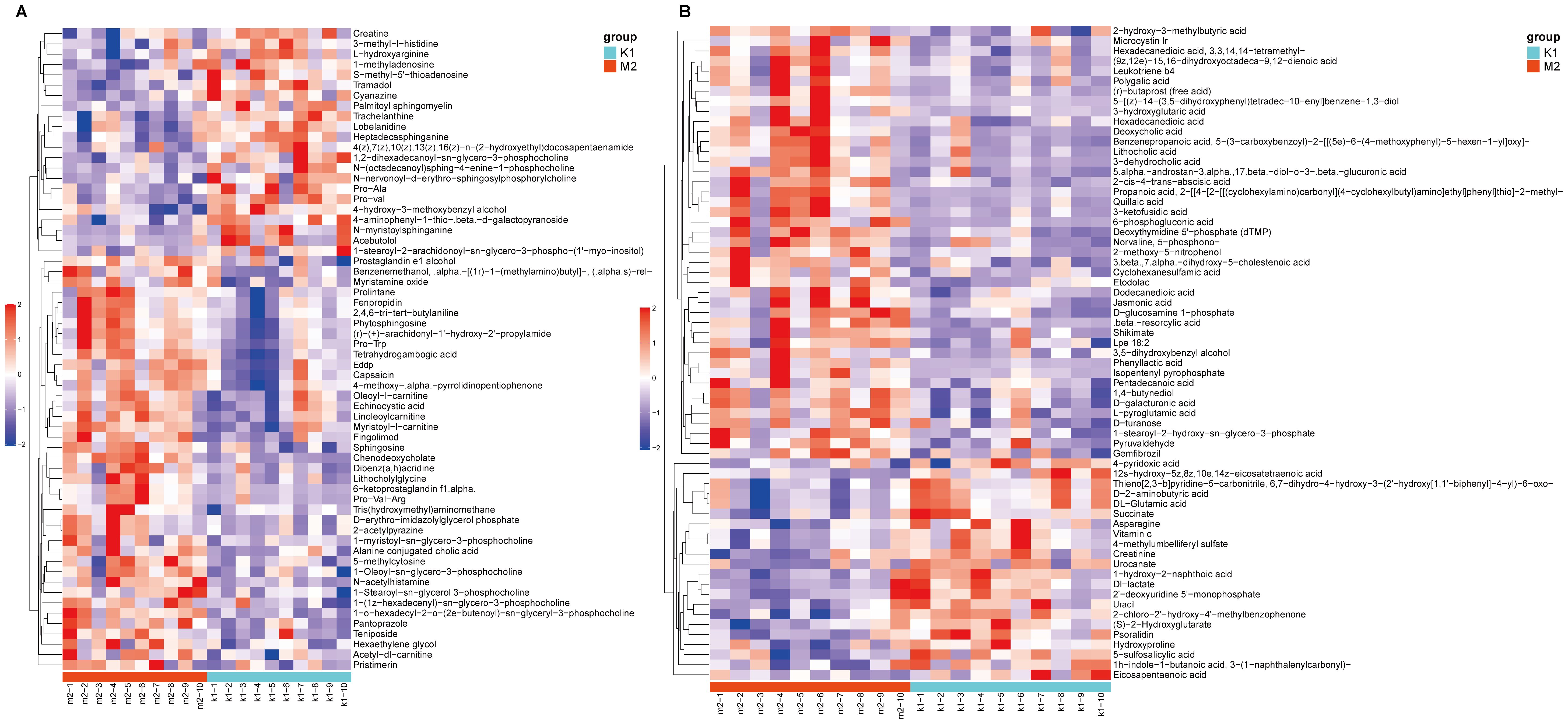 Two clustered heatmaps labeled A and B display metabolite levels with color gradients from blue to red, indicating intensity from low to high. Metabolites are listed on the y-axis, while samples labeled K1 and M2 groups are on the x-axis. The heatmaps show variations across samples, suggesting group-specific metabolic patterns.