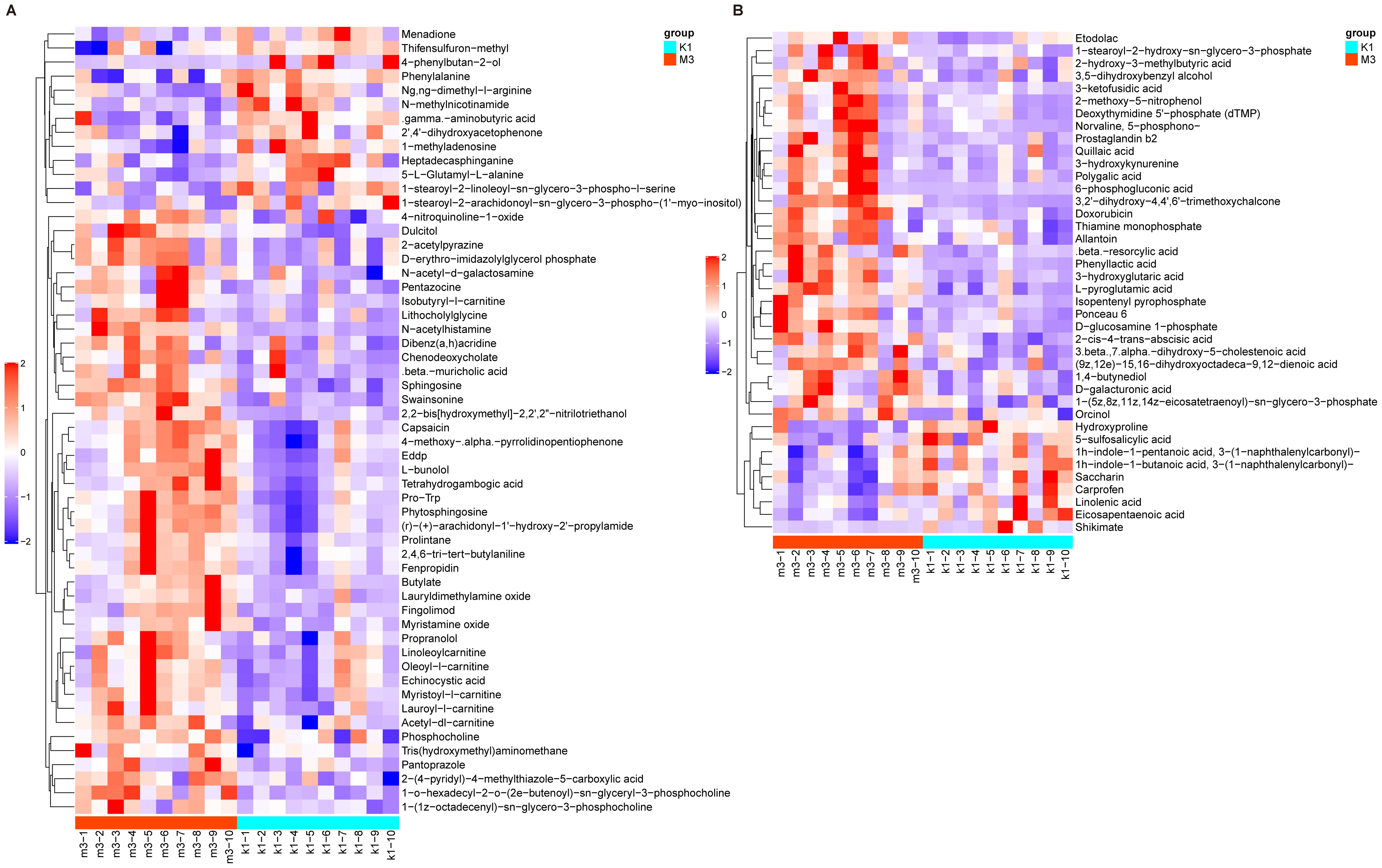 Heatmap showing metabolite profiles labeled A and B. Each row represents a metabolite, and each column is a sample group, either K1 or M3. Color intensity ranges from blue (low values) to red (high values), indicating the relative abundance of metabolites. Hierarchical clustering on the left organizes metabolites by similarity in both panels.