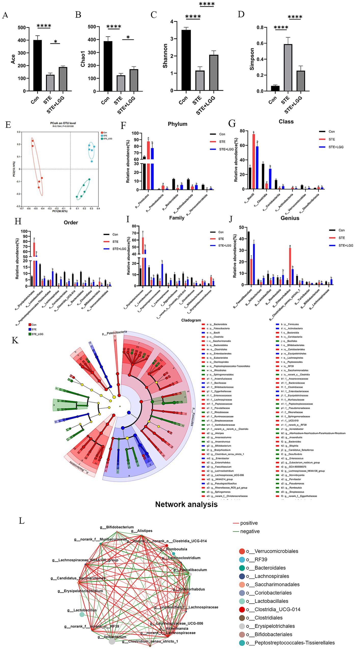 Microbiome analysis charts illustrating comparison among three conditions: control (Con), STE, and STE+LGG. Panels A-D show bar graphs for microbial diversity indices (Ace, Chao1, Shannon, and Simpson), with significant differences marked by asterisks. Panel E presents a PCoA plot on OTU level, showing distinct clustering of groups. Panels F-J are bar charts showing the relative abundance at different taxonomic levels: phylum, class, order, family, and genus, each with three group comparisons. Panel K displays a cladogram indicating taxonomic relationships and differential abundance. Panel L features a network analysis, showing connections among microbial genera with positive and negative correlations.