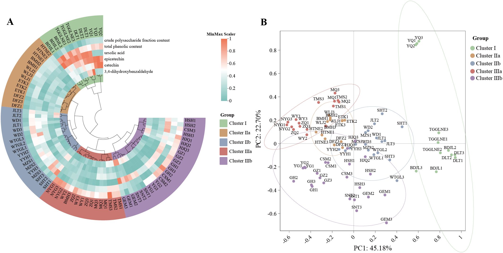 Image A is a circular dendrogram heatmap detailing crude polysaccharide, total phenolic content, and various compounds across different sample clusters. Colors indicate MinMax scaled values. Image B is a PCA plot displaying samples grouped in clusters, with PC1 accounting for 45.18% and PC2 for 22.70% of the variance. Clusters are color-coded to match the dendrogram.