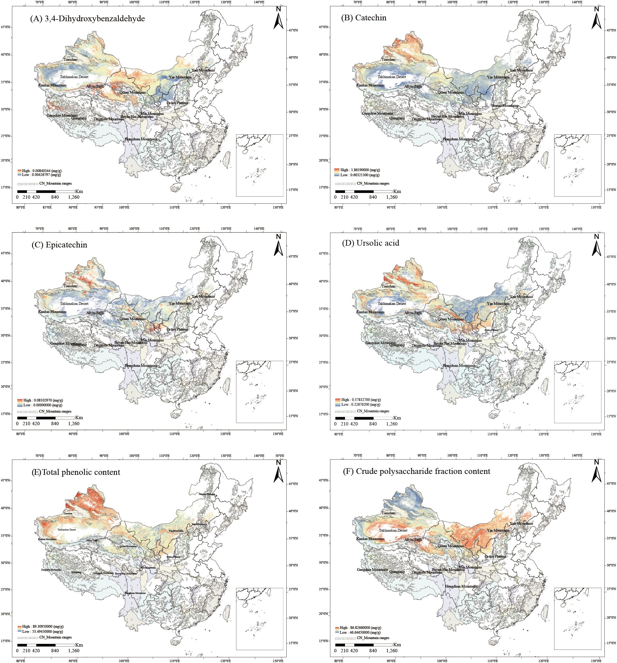 Maps displaying the geographic distribution of several compounds in China. (A) 3,4-Dihydroxybenzaldehyde. (B) Catechin. (C) Epicatechin. (D) Ursolic acid. (E) Total phenolic content. (F) Crude polysaccharide fraction content. Each map uses color gradients to indicate concentration levels across regions, with reference to geographical landmarks such as the Taklimakan Desert. North arrows and scale bars are included.