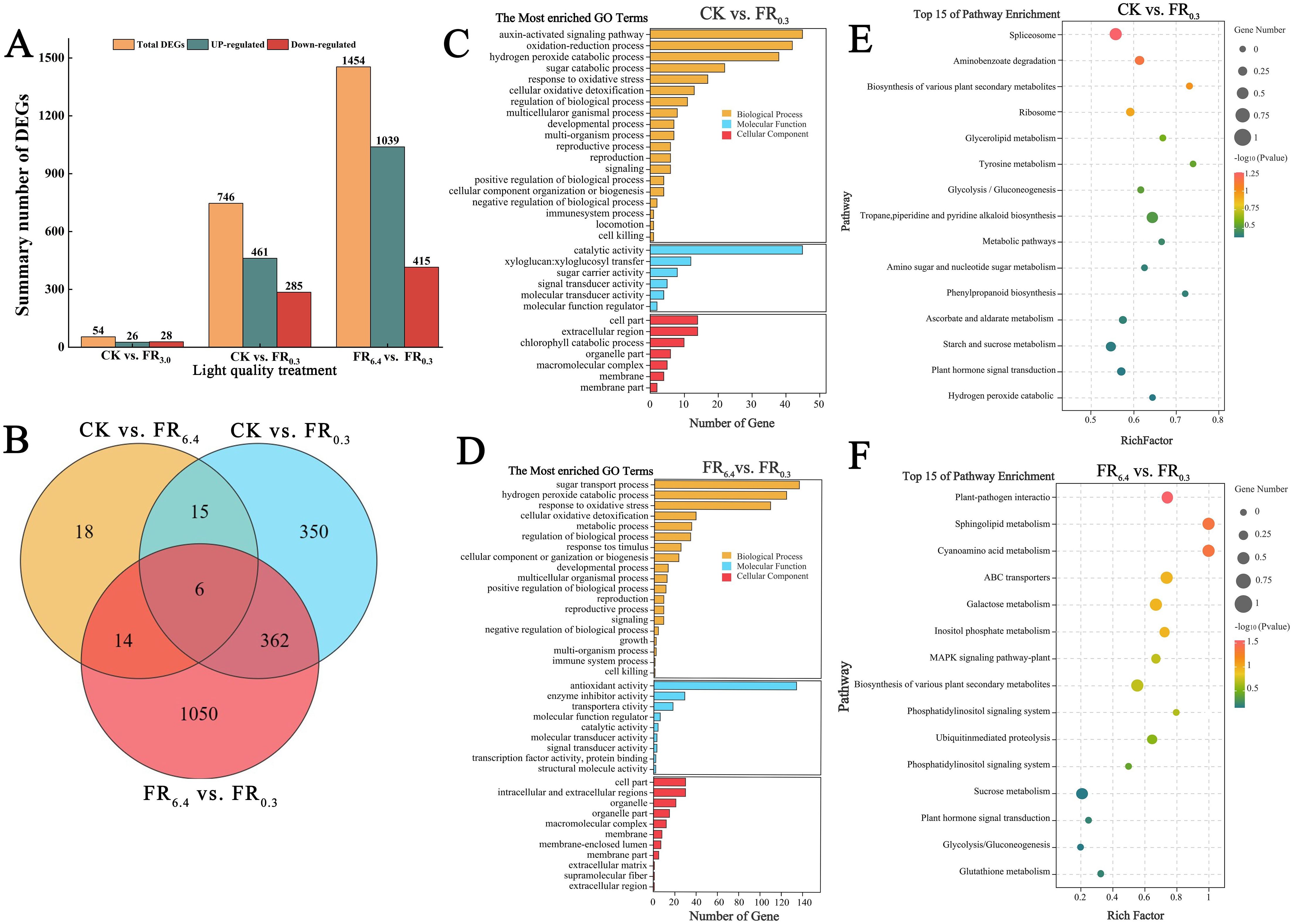 Chart illustrating differential gene expression and enriched pathways analysis. Panel A shows bar graphs of up- and down-regulated genes across different comparisons. Panel B presents a Venn diagram of overlapping genes. Panels C and D detail the most enriched GO terms for CK vs. FR\(_{0.3}\) and FR\(_{6.4}\) vs. FR\(_{0.3}\), respectively, categorized by biological process, molecular function, and cellular component. Panels E and F depict the top fifteen enriched pathways for CK vs. FR\(_{0.3}\) and FR\(_{6.4}\) vs. FR\(_{0.3}\) using dot plots, highlighting rich factor and gene numbers.