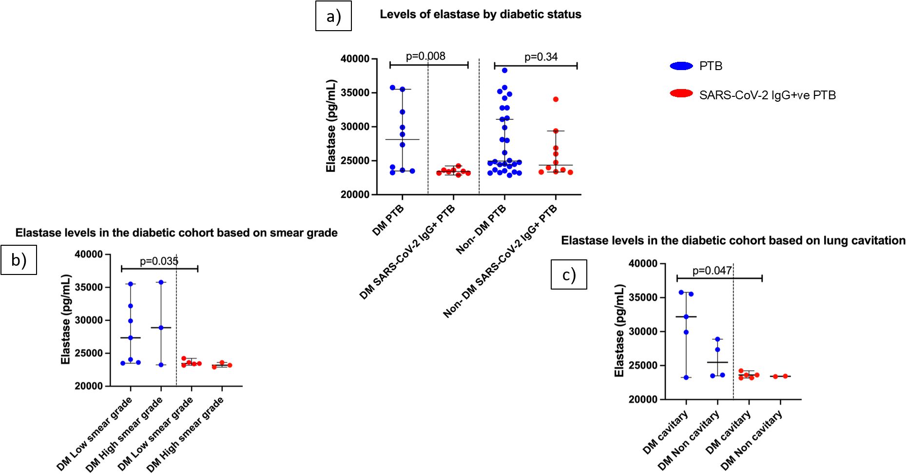 Three scatter plots display elastase levels in different cohorts. a) Compares diabetic (DM) and non-diabetic in PTB and SARS-CoV-2 IgG+ve PTB, showing significant differences in DM PTB versus SARS-CoV-2 (p=0.008). b) Shows elastase levels in diabetic patients by smear grade, with significant differences in low versus high smear grade (p=0.035). c) Displays elastase levels based on lung cavitation in diabetics, with significant differences in cavitary versus non-cavitary (p=0.047). Blue dots represent PTB, red for SARS-CoV-2 IgG+ve PTB.