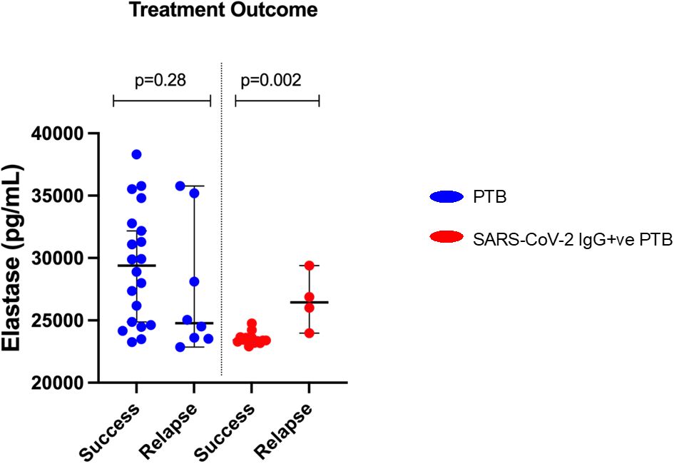 Dot plot showing elastase levels (pg/mL) in two groups: PTB (blue) and SARS-CoV-2 IgG positive PTB (red), categorized by treatment success and relapse. p-values indicate statistical significance: 0.28 for PTB and 0.002 for SARS-CoV-2 IgG+ve PTB.