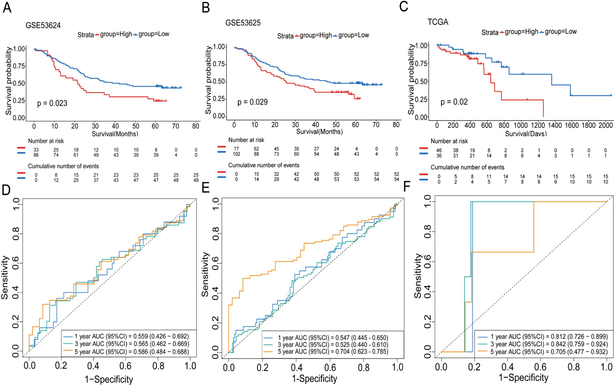 Kaplan-Meier survival curves and ROC curves. Panels A, B, and C show survival probabilities for high and low groups in datasets GSE53624, GSE53625, and TCGA, with p-values of 0.023, 0.029, and 0.02 respectively. Panels D, E, and F present ROC curves for 1-, 3-, and 5-year predictions with corresponding AUC values: D (0.559, 0.565, 0.586), E (0.547, 0.525, 0.704), and F (0.812, 0.842, 0.705).
