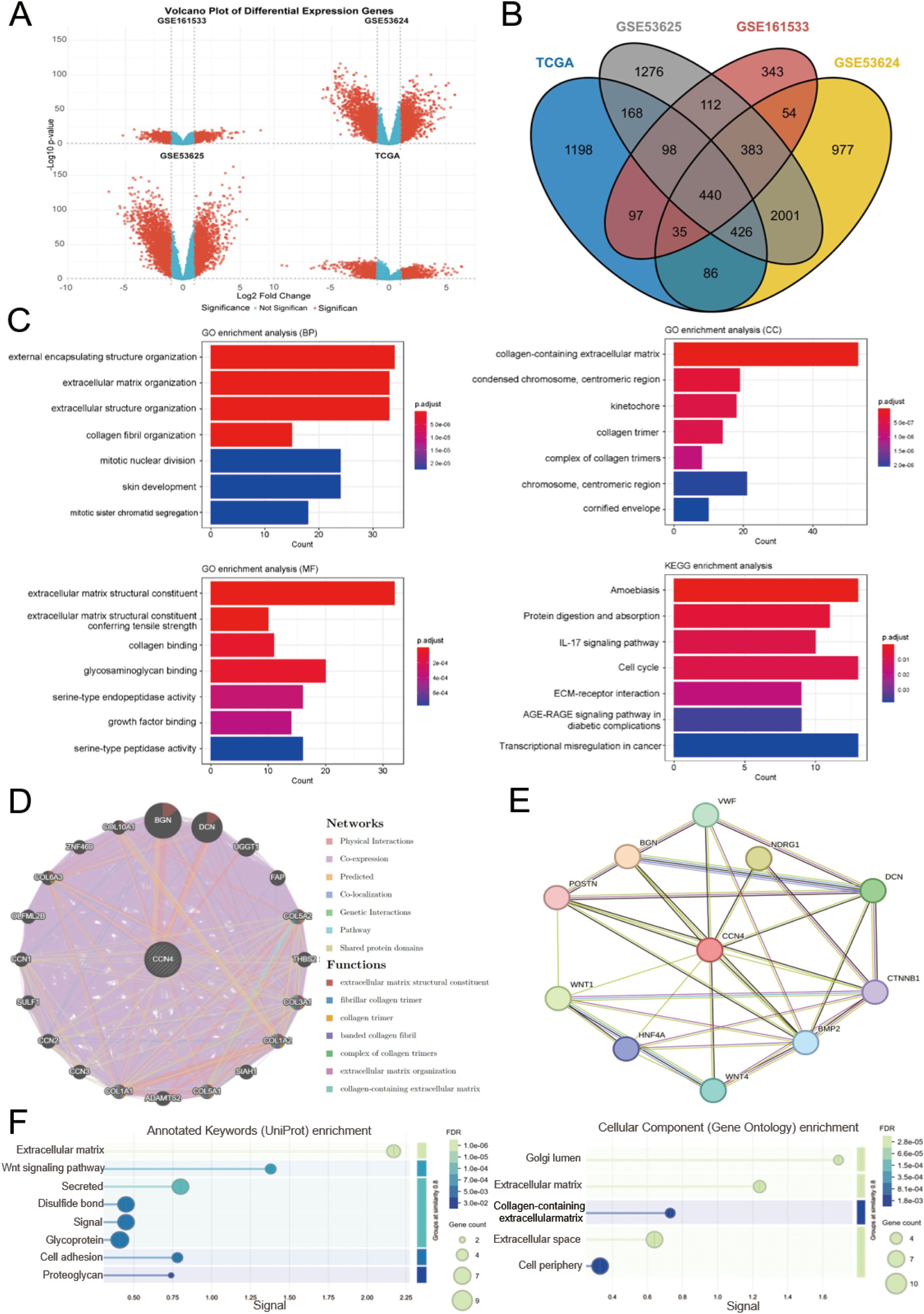 The image consists of six panels labeled A to F. A: Volcano plot comparing differential expression of genes across four datasets (GSE161533, GSE53624, GSE53625, TCGA). B: Venn diagram showing overlaps of differentially expressed genes among the datasets. C: Bar charts for GO and KEGG enrichment analyses, displaying biological processes, molecular functions, cellular components, and pathways. D: Network diagram illustrating interactions among proteins with functional annotations. E: Network diagram showing protein interactions. F: Bubble charts for annotated keyword and cellular component enrichment with axes indicating signal and false discovery rate (FDR).