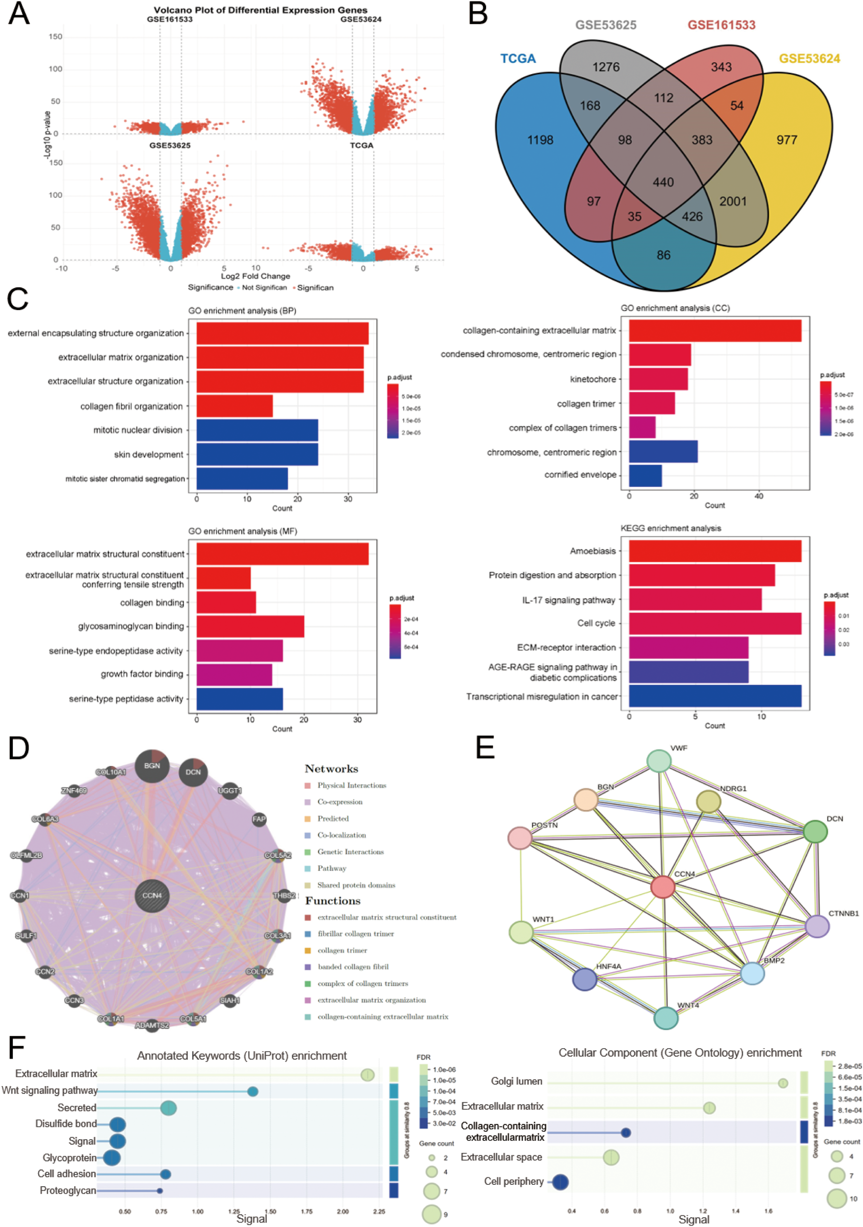 The image consists of six panels labeled A to F. A: Volcano plot comparing differential expression of genes across four datasets (GSE161533, GSE53624, GSE53625, TCGA). B: Venn diagram showing overlaps of differentially expressed genes among the datasets. C: Bar charts for GO and KEGG enrichment analyses, displaying biological processes, molecular functions, cellular components, and pathways. D: Network diagram illustrating interactions among proteins with functional annotations. E: Network diagram showing protein interactions. F: Bubble charts for annotated keyword and cellular component enrichment with axes indicating signal and false discovery rate (FDR).