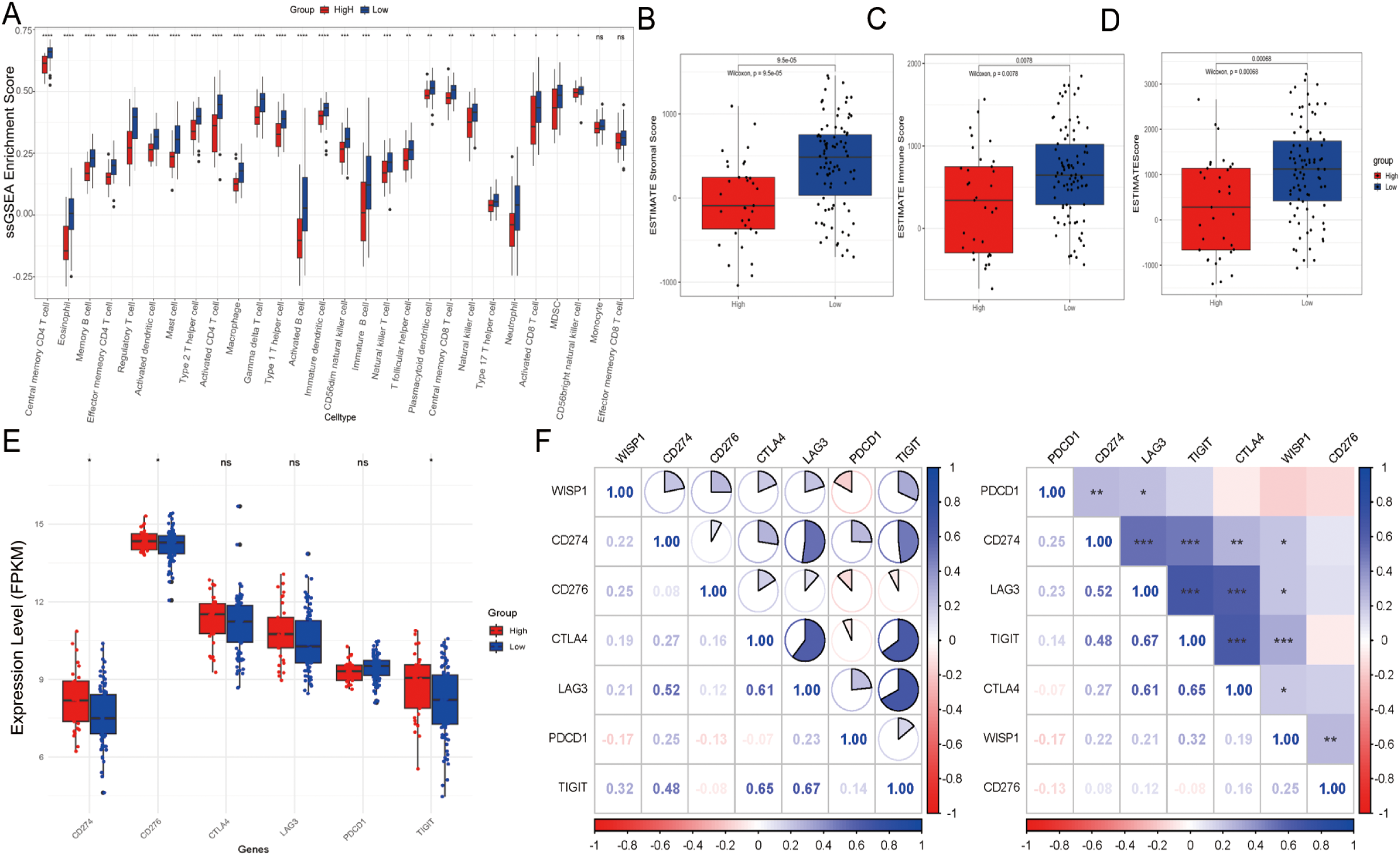 Graph compilation showing data analysis across different panels: Panel A presents a box plot of ssGSEA enrichment scores for various cell types, comparing high and low groups. Panels B, C, and D portray box plots showing ESTIMATE scores (Stromal, Immune, and Total) for the same groups, with significant Wilcoxon test p-values. Panel E illustrates gene expression levels (FPKM) for selected genes, displayed by group. Panel F features a correlation matrix and pie charts detailing relationships among genes, with significance indicated by asterisks.
