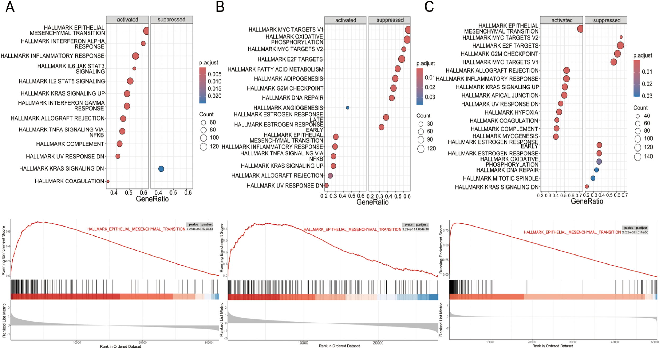 Three panels (A, B, C) showing dot plots and enrichment plots for gene set analysis. Dot plots indicate activated and suppressed pathways with varying gene ratios and sizes representing counts. The enrichment plots below show running enrichment scores for pathways such as “HALLMARK_EPITHELIAL_MESENCHYMAL_TRANSITION” with p-values and adjusted values. Each panel has specific gene sets that are being highlighted.