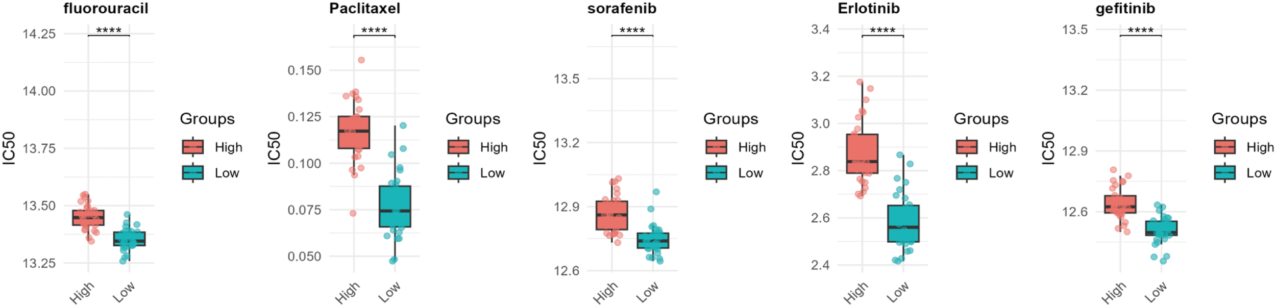 Box plots show the IC50 values for five drugs: fluorouracil, paclitaxel, sorafenib, erlotinib, and gefitinib. Each plot compares high and low groups, with statistically significant differences indicated by asterisks. High groups are in red, low in teal.