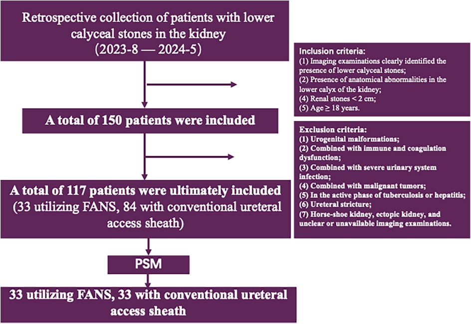 Flowchart detailing a retrospective study of patients with lower calyceal stones in the kidney from August 2023 to May 2024. It began with 150 patients, narrowing to 117 after applying inclusion criteria like age over 18 and stone size under 2 centimeters. Exclusions included urogenital malformations and severe infections. Ultimately, two groups of 33 patients each were formed, based on the use of FANS or conventional ureteral access sheath, after applying propensity score matching (PSM).