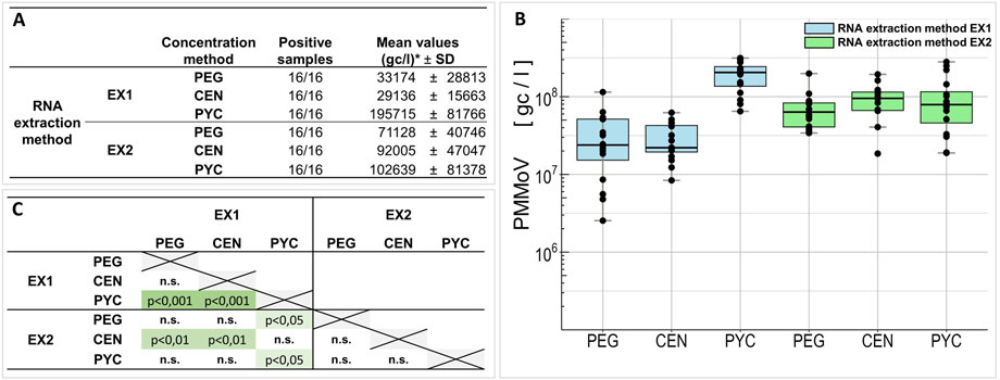 Three-panel image showing data on RNA extraction and concentration methods. Panel A is a table listing RNA extraction methods EX1 and EX2 with concentration methods PEG, CEN, and PYC, showing positive samples and mean values with standard deviation. Panel B is a box plot comparing PMMoV values for EX1 and EX2 with varying concentrations, labeled in blue and green, respectively. Panel C is a comparison chart indicating statistical significance between methods using p-values and non-significant markers.
