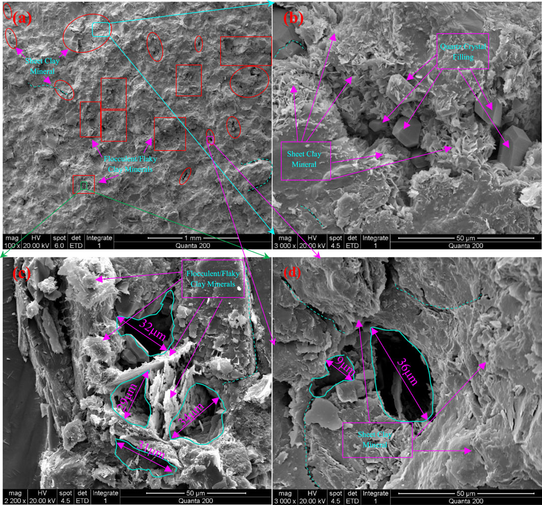Four-panel SEM images showing clay minerals. Panel (a) highlights sheet clay minerals and flocculent/flaky clay minerals with red ellipses and rectangles. Panel (b) shows sheet clay minerals and quartz crystal filling, marked with arrows. Panel (c) details flocculent/flaky clay minerals with size dimensions (e.g., thirty-two micrometers). Panel (d) indicates sheet clay minerals with features measuring nine and thirty-six micrometers. Arrows and markers in various colors annotate specific areas.