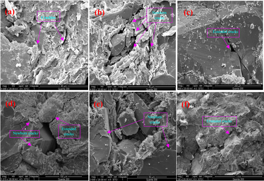 A six-part image displays microscopic examination of material surfaces labeled from (a) to (f). Each panel highlights specific features: (a) crackles, (b) newborn cracks, (c) extended cracks, (d) both newborn and extended cracks, (e) newborn cracks, and (f) extended cracks. Bright pink annotations mark these features. Scanning electron microscope settings are noted at the bottom of each panel, showing variations in magnification and resolution.
