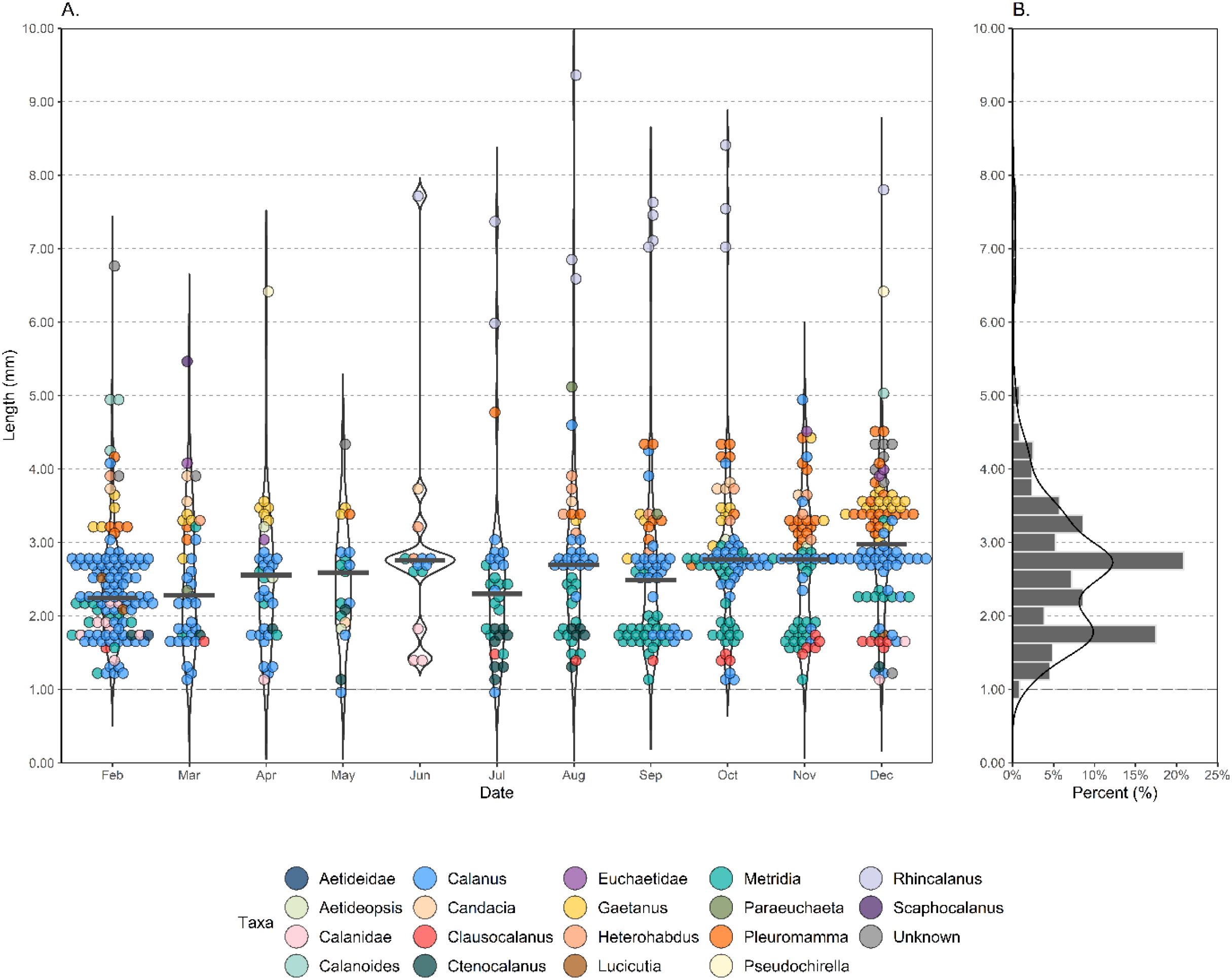 A two-panel chart displays data on Copepod length. Panel A is a violin plot showing the length distribution of various taxa across months from February to December. Each colour represents a different taxa, with a legend detailing the corresponding colour and taxa names. Panel B is a histogram showing the percentage distribution of zooplankton lengths across the same range, with a line indicating density. Both panels share a y-axis labeled with length in millimeters.