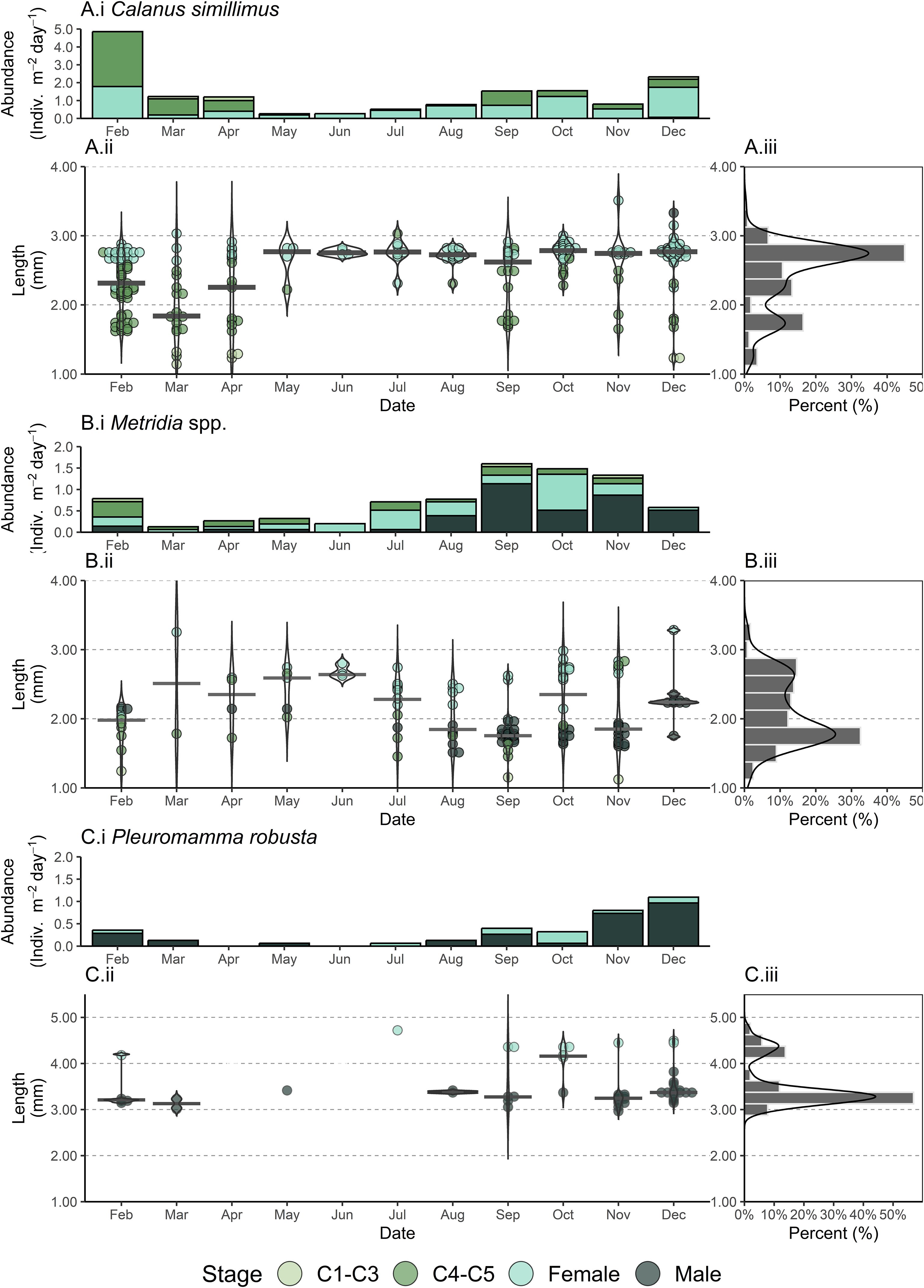 Graphs depicting seasonal variations in abundance, ontogentic stage and length of three copepod species: Calanus simillimus, Metridia spp., and Pleuromamma robusta. Panels A.i, B.i, and C.i show abundance of different ontogenetic stages by month. Panels A.ii, B.ii, and C.ii display individual lengths, differentiated by ontogenetic stage. Panels A.iii, B.iii, and C.iii present the length distribution as percentages. Ontogenetic stages (e.g., C1-C3, C4-C5, Male, Female) are colour-coded.