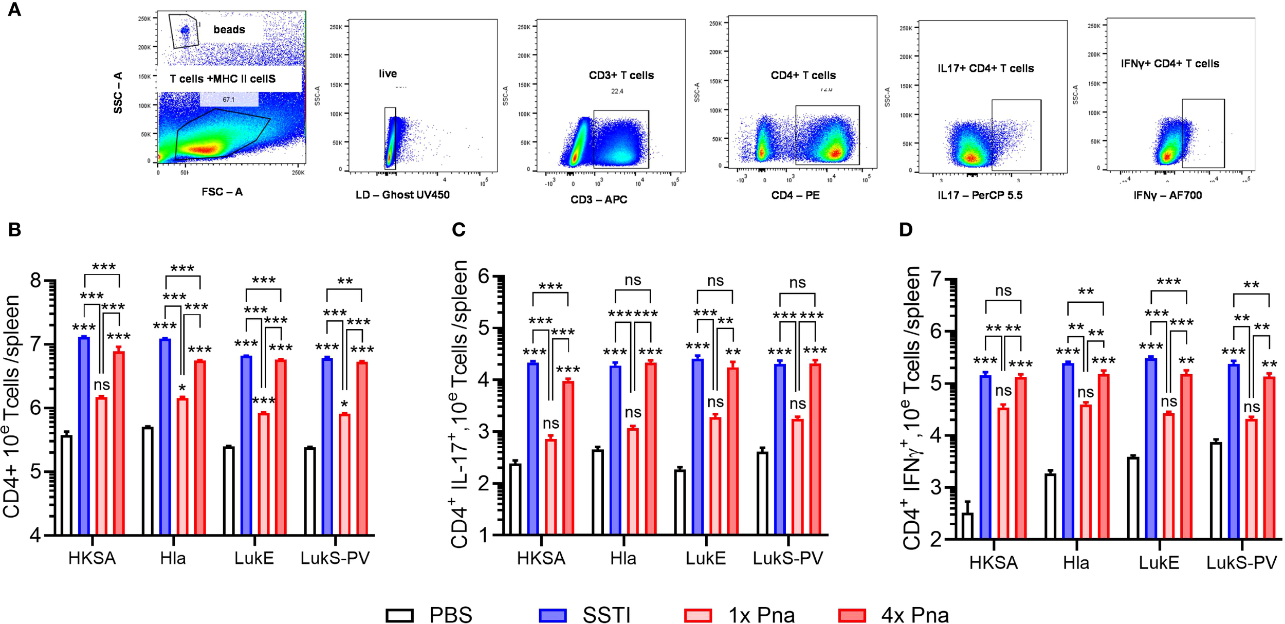 Splenic CD4+ T cells were quantified in mouse models of skin and soft tissue infection (SSTI), transient pneumonia (1x pna), and persistent pneumonia (4x pna) following stimulation with heat-killed S. aureus (HKSA) and toxins Hla, LukE, and LukS-PV. Panels show total antigen-specific CD4+ T cells, CD4+ IL-17A+ T cells, and CD4+ IFN-γ+ T cells. Data represent mean ± SEM from 5 mice per group in one of two experiments. Statistical analysis was performed using one-way ANOVA with Tukey’s post-test comparing groups to PBS control.