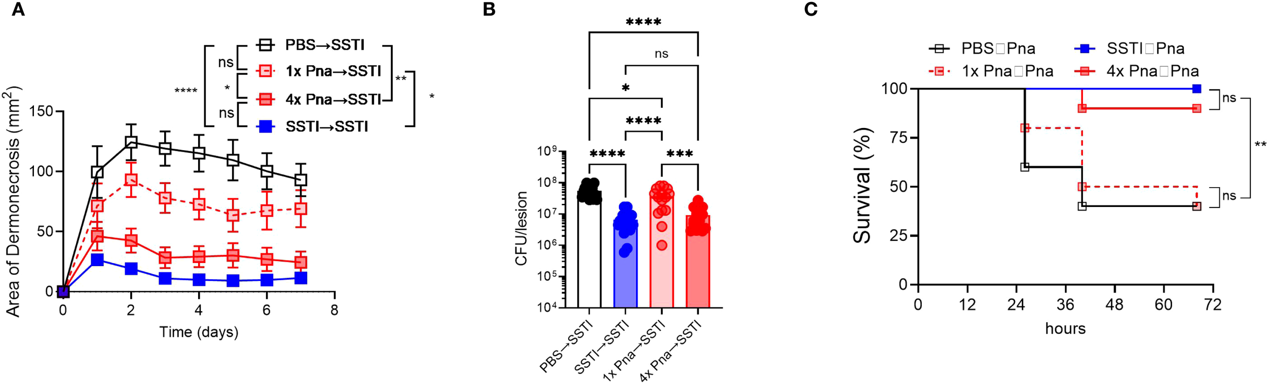 Mouse models of primary skin infection (SSTI), transient pneumonia (1x pna), and persistent pneumonia (4x pna) were used to assess protection against secondary SSTI and pneumonia. Panel A shows protection levels against secondary SSTI; panel B shows bacterial burden in skin lesions 7 days post-infection; panel C shows protection against secondary pneumonia. Data include 15 mice/group for panels A and B (3 experiments) and 10 mice/group for panel C (2 experiments). Statistical analyses used two-way ANOVA, one-way ANOVA, and Gehan-Breslow-Wilcoxon tests. Data are mean ± SEM.