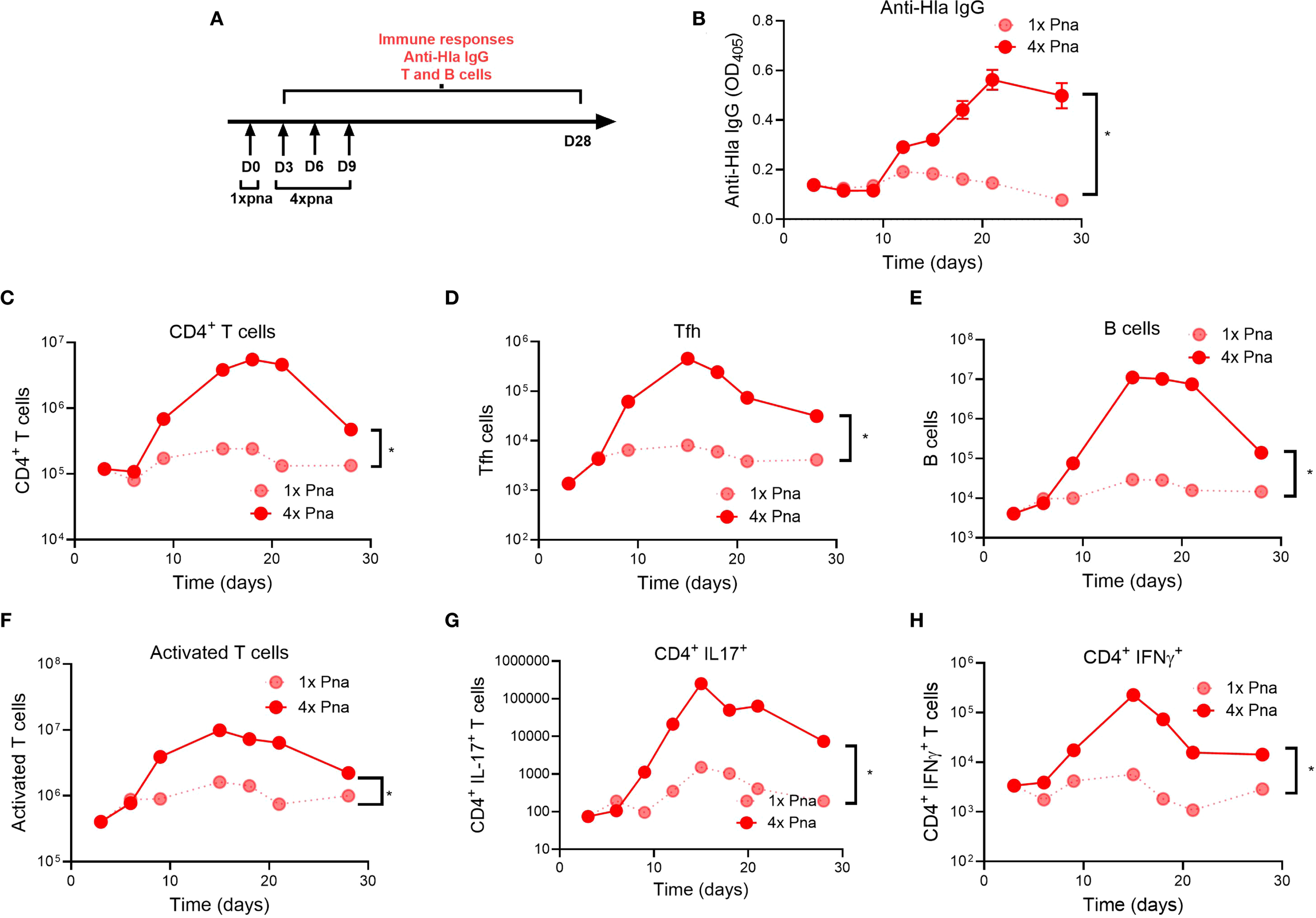 Mouse models of transient (1x) and persistent (4x) pneumonia were used to study adaptive immune responses. Panel B shows anti-Hla IgG levels (n=10). Panels C–H quantify S. aureus-reactive splenic cells after stimulation: CD4+ T helper cells, follicular helper T cells (Tfh), B cells, activated T cells (CD44+), IL-17+ (Th17) cells, and IFN-γ+ (Th1) cells. Data represent mean ± SEM (panel B) and pooled splenocytes normalized per spleen (panels C–H) from 5 mice per group.