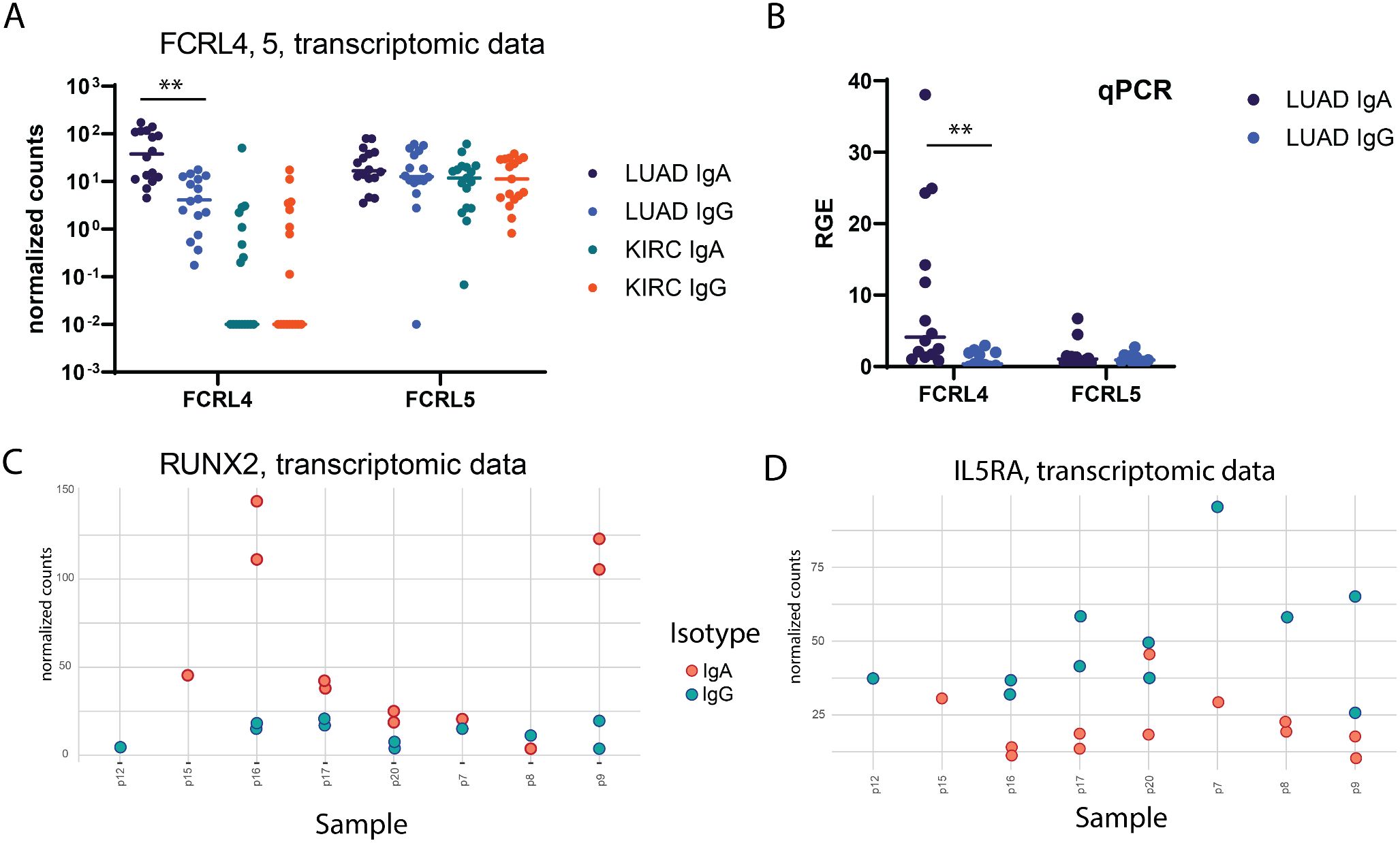 Four scatter plots display gene expression data. A: FCRL4 and FCRL5 transcriptomic data with different groups; significant difference marked for FCRL4. B: qPCR results for FCRL4 and FCRL5 in LUAD showing significant difference in FCRL4. C: RUNX2 expression across samples with IgA and IgG types. D: IL5RA expression, showing variations across samples for IgA and IgG.
