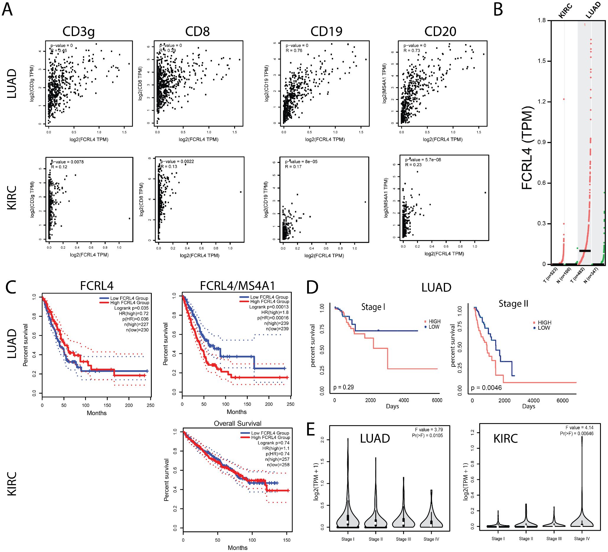 Panel A shows scatter plots of gene expression correlations in LUAD and KIRC samples for CD3g, CD8, CD19, and CD20. Panel B is a bar graph displaying FCRL4 expression in different tissues. Panel C features Kaplan-Meier survival curves for LUAD and KIRC, comparing low and high FCRL4 expression. Panel D provides survival analysis by stage for LUAD, with significant differences in Stage II. Panel E contains violin plots showing FCRL4 expression across cancer stages for LUAD and KIRC.