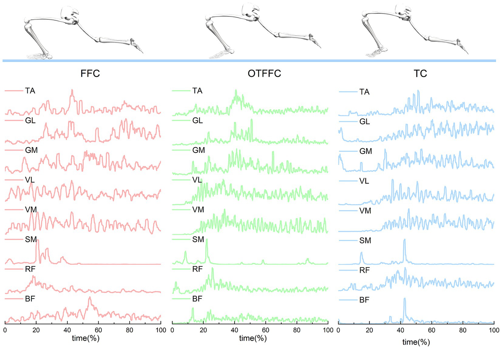 Illustration of three human skeletons shown in a crawling position above a series of graphs. The graphs display muscle activation data over time for different conditions labeled FFC, OTFFC, and TC. Each condition has graphs for muscles TA, GL, GM, VL, VM, SM, RF, and BF, with variations in wave patterns depicted in three colors: red, green, and blue. Time is represented in percentage on the x-axis.