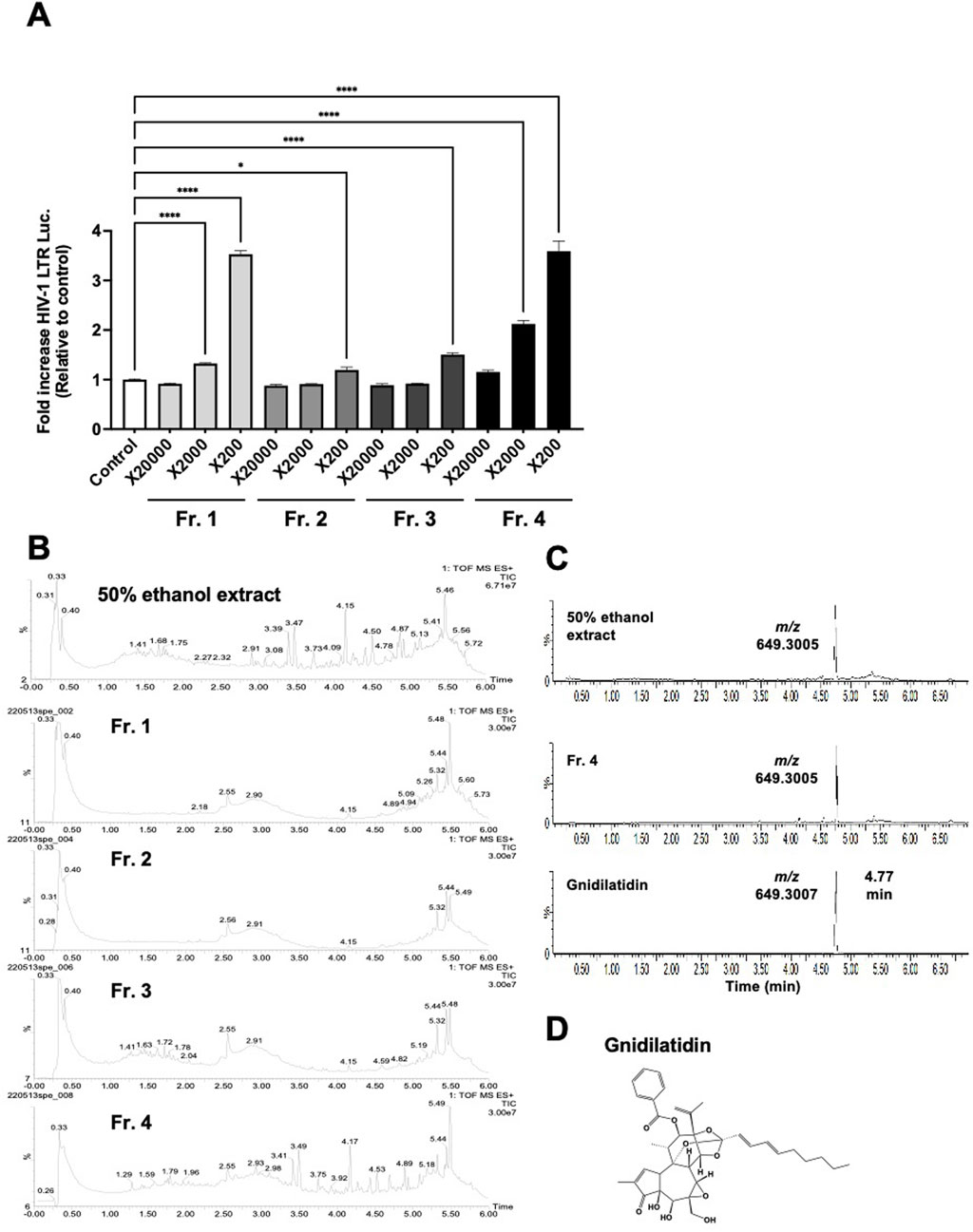 Panel A shows a bar graph of fold increase in HIV-1 LTR Luc. against control for various fractions; Fr. 1 at dilution X2000 shows significant increase. Panel B displays chromatograms for 50% ethanol extract and fractions Fr. 1 to Fr. 4 with peaks at specific retention times. Panel C presents the mass spectra at m/z 649.3005 for the ethanol extract, Fr. 4, and Gnidilatidin with retention at 4.77 minutes. Panel D illustrates the chemical structure of Gnidilatidin.