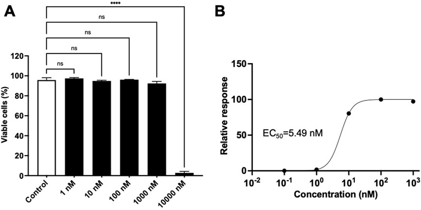 Panel A shows a bar graph of viable cell percentages across different concentrations, from control to 10,000 nM. Only at 10,000 nM does viability significantly drop. Panel B is a dose-response curve indicating an EC50 value of 5.49 nM, with the response increasing sigmoidally as concentration increases.
